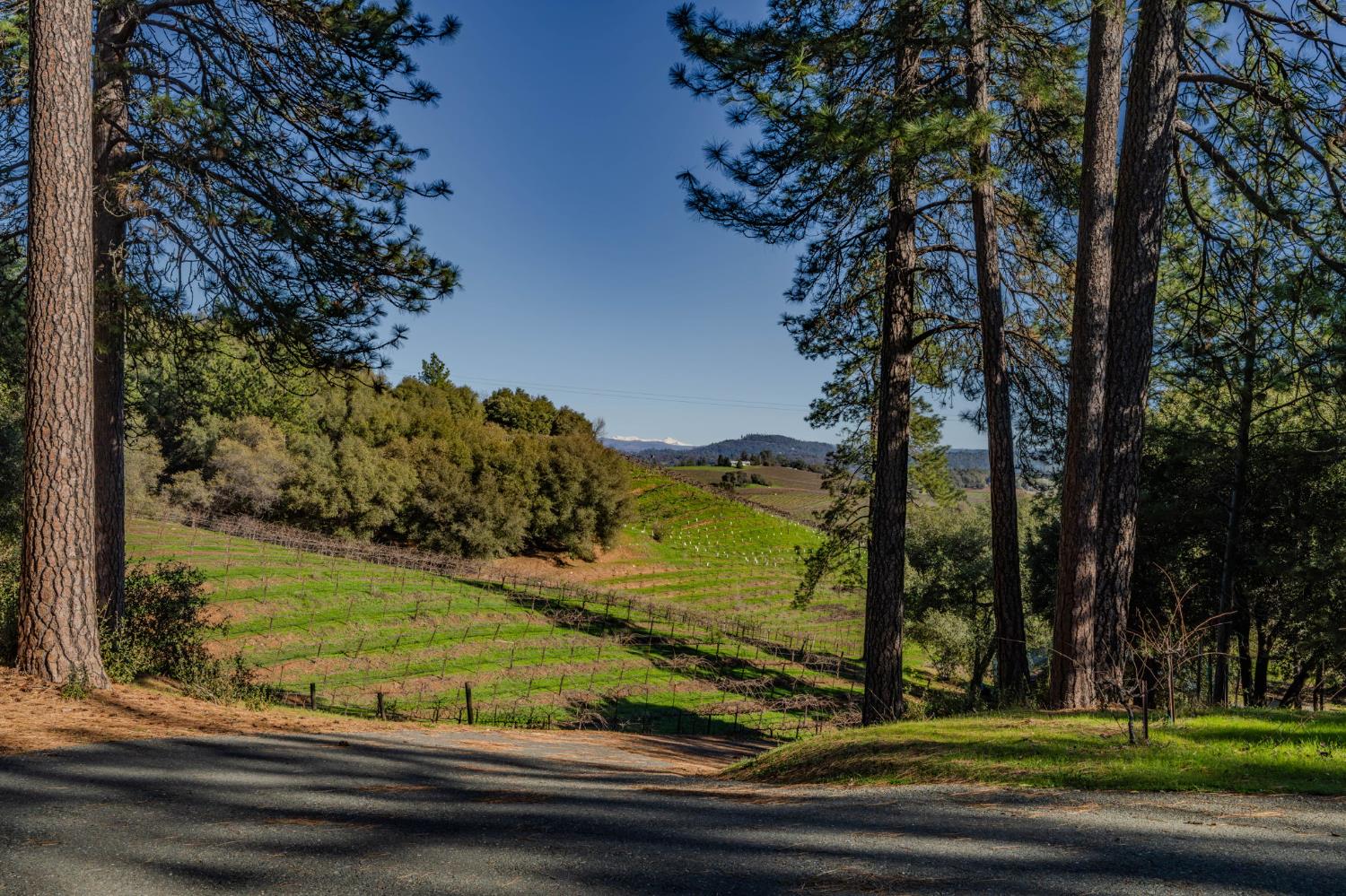 Plymouth, California, 95669, United States, 3 Bedrooms Bedrooms, ,3 BathroomsBathrooms,Residential,For Sale,1979143