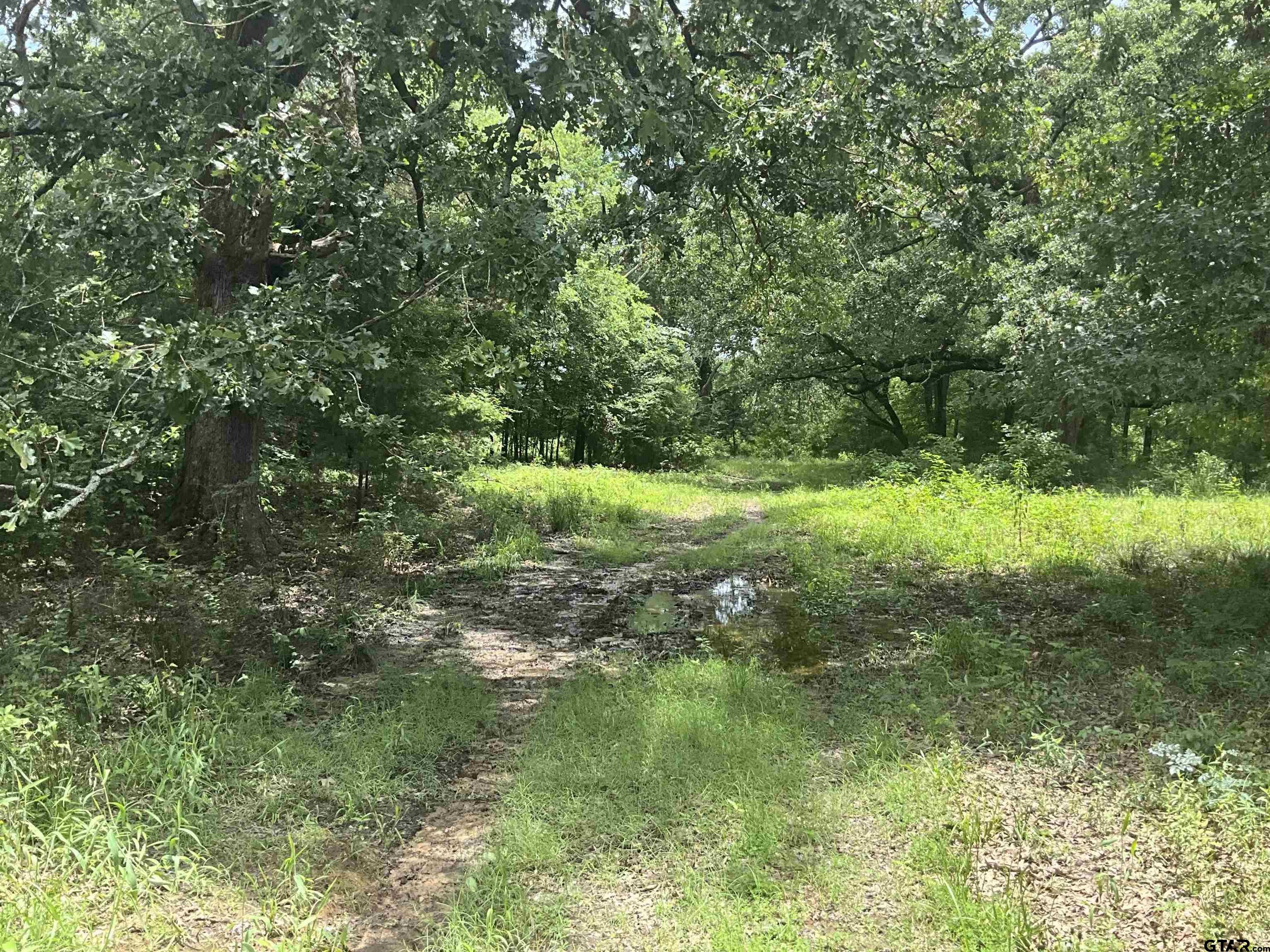 Pittsburg, Texas, 75686, United States, ,Land,For Sale,1976624