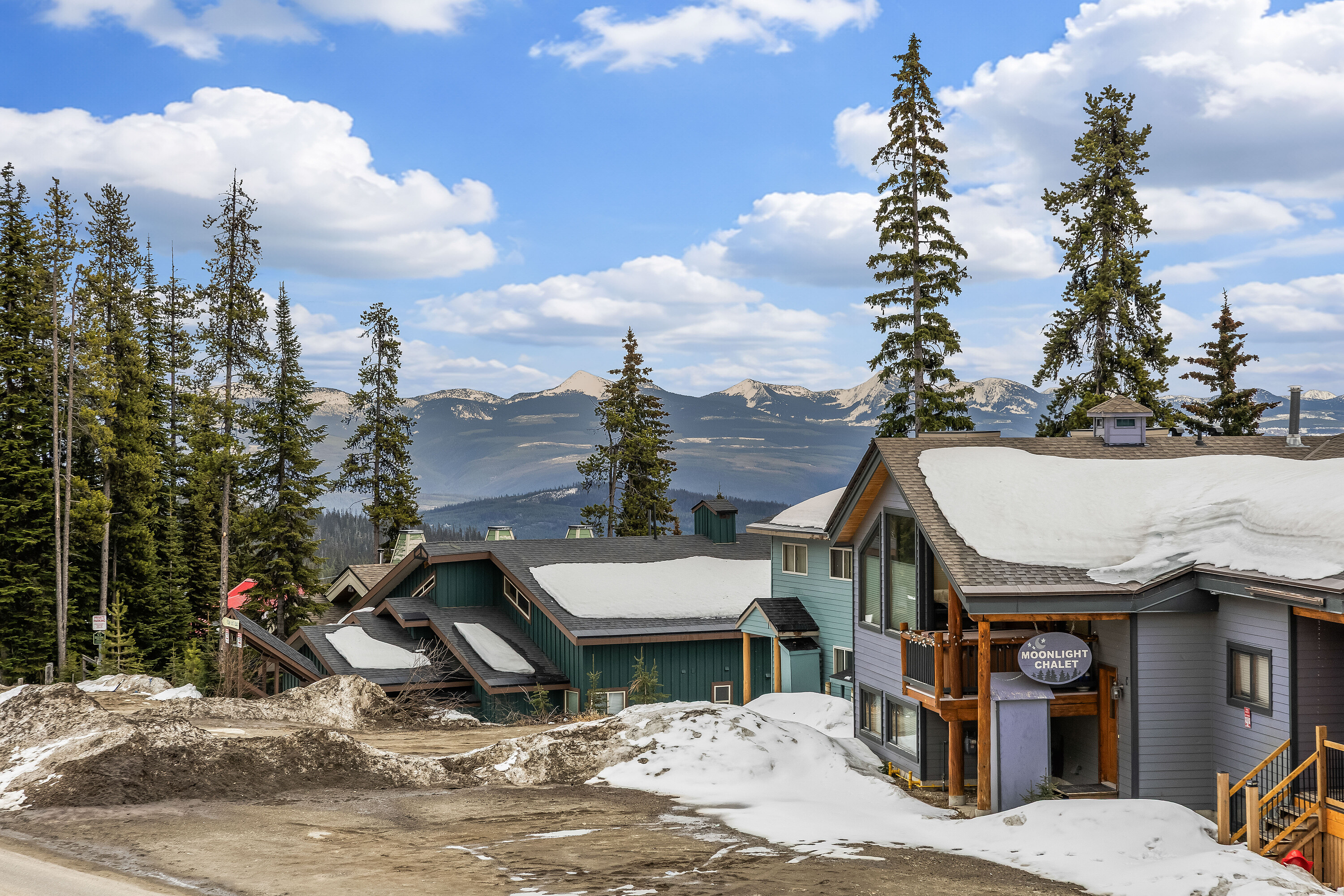  True Ski Chalet Living - 物件實景