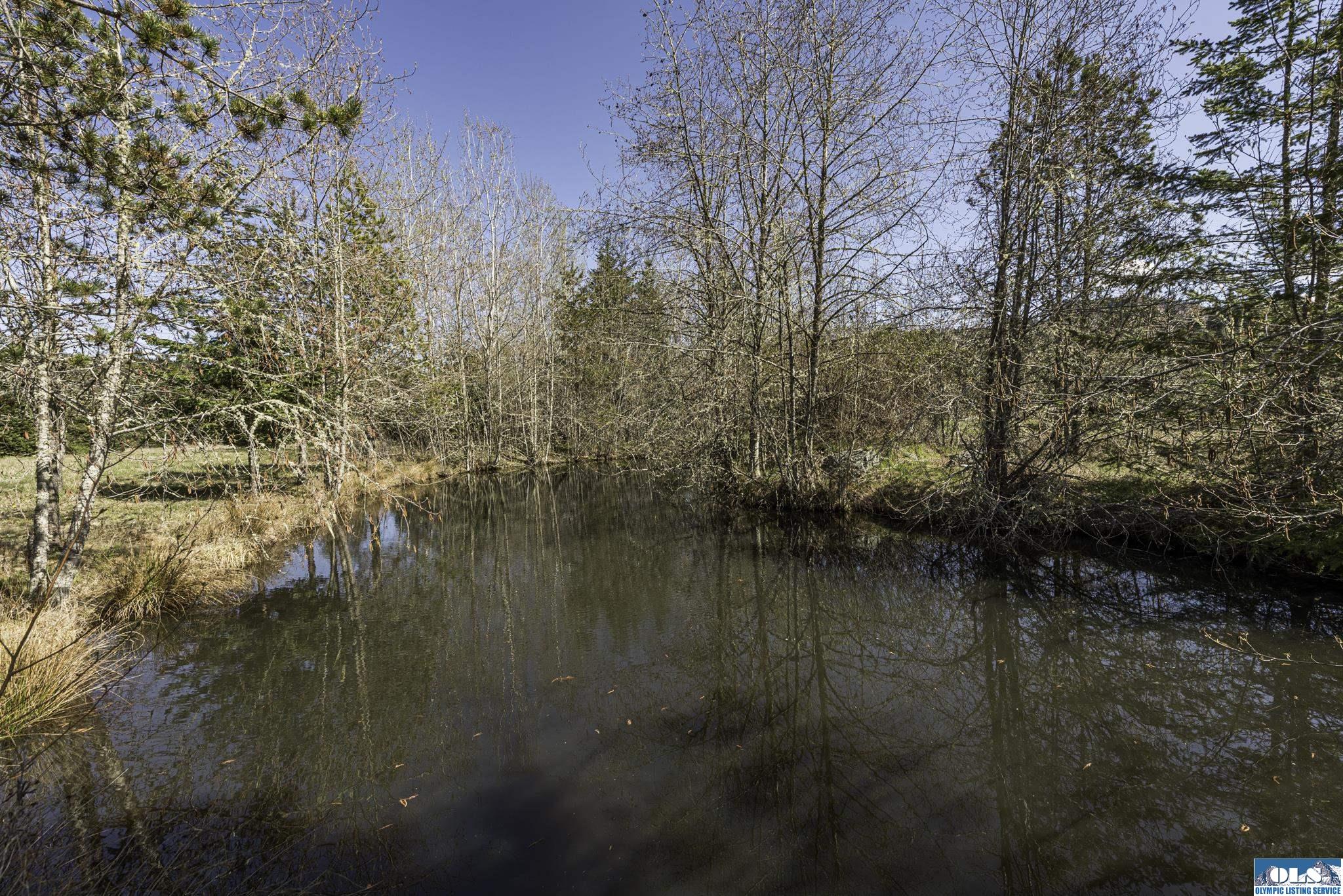 Sequim, Washington, 98382, United States, ,Land,For Sale,1787569
