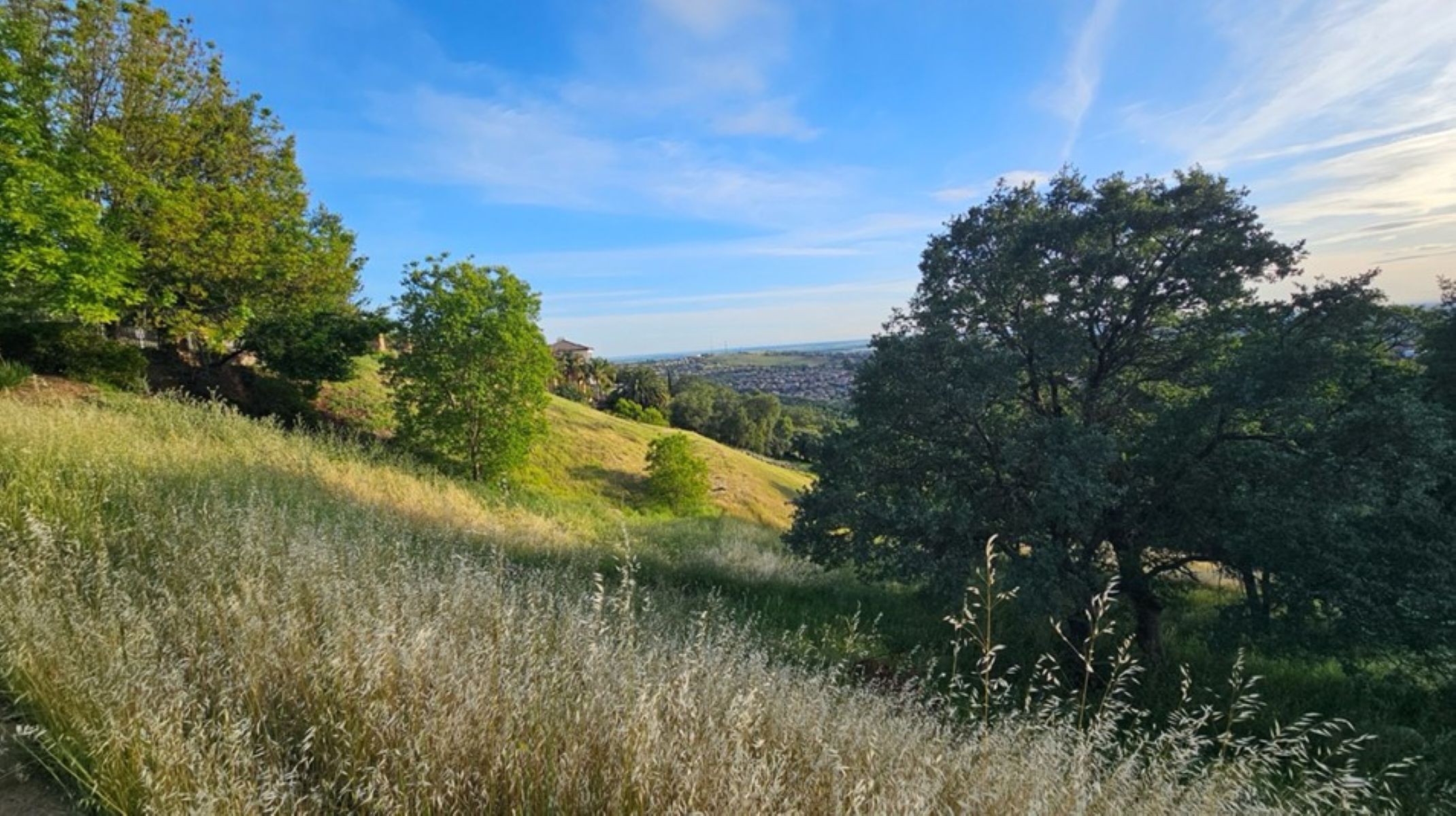  2680 Via Fiori, El Dorado Hills, CA 95762 - 物件實景