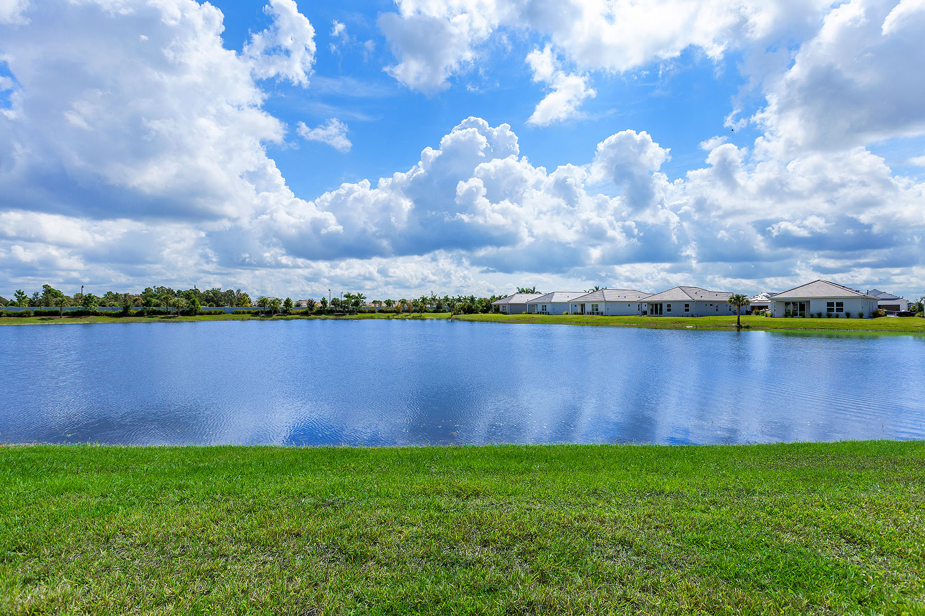  WYSTERIA - 物件實景