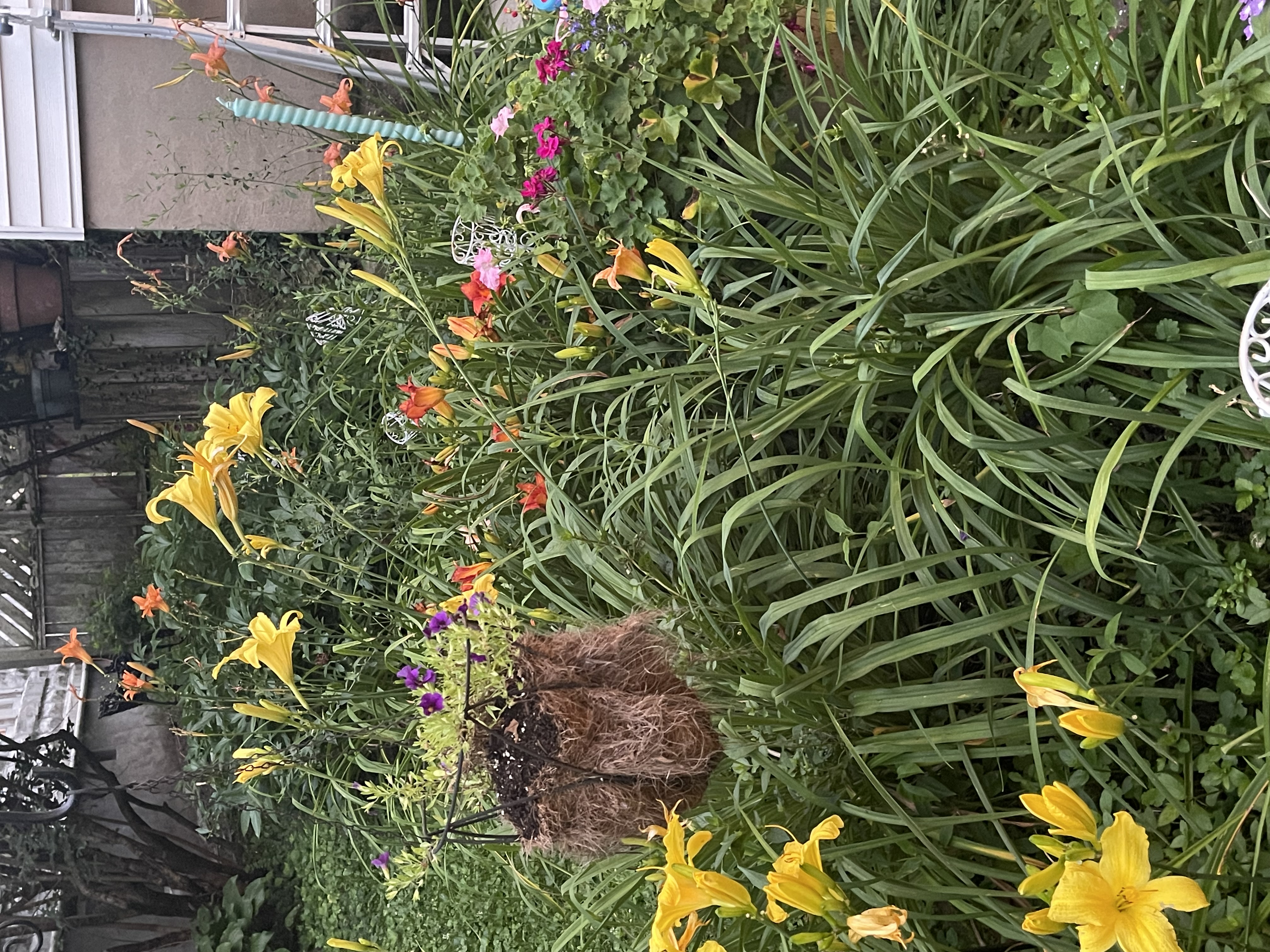 Frankfort, Kentucky, 40601, United States, 6 Bedrooms Bedrooms, ,3 BathroomsBathrooms,Residential,For Sale,1994264