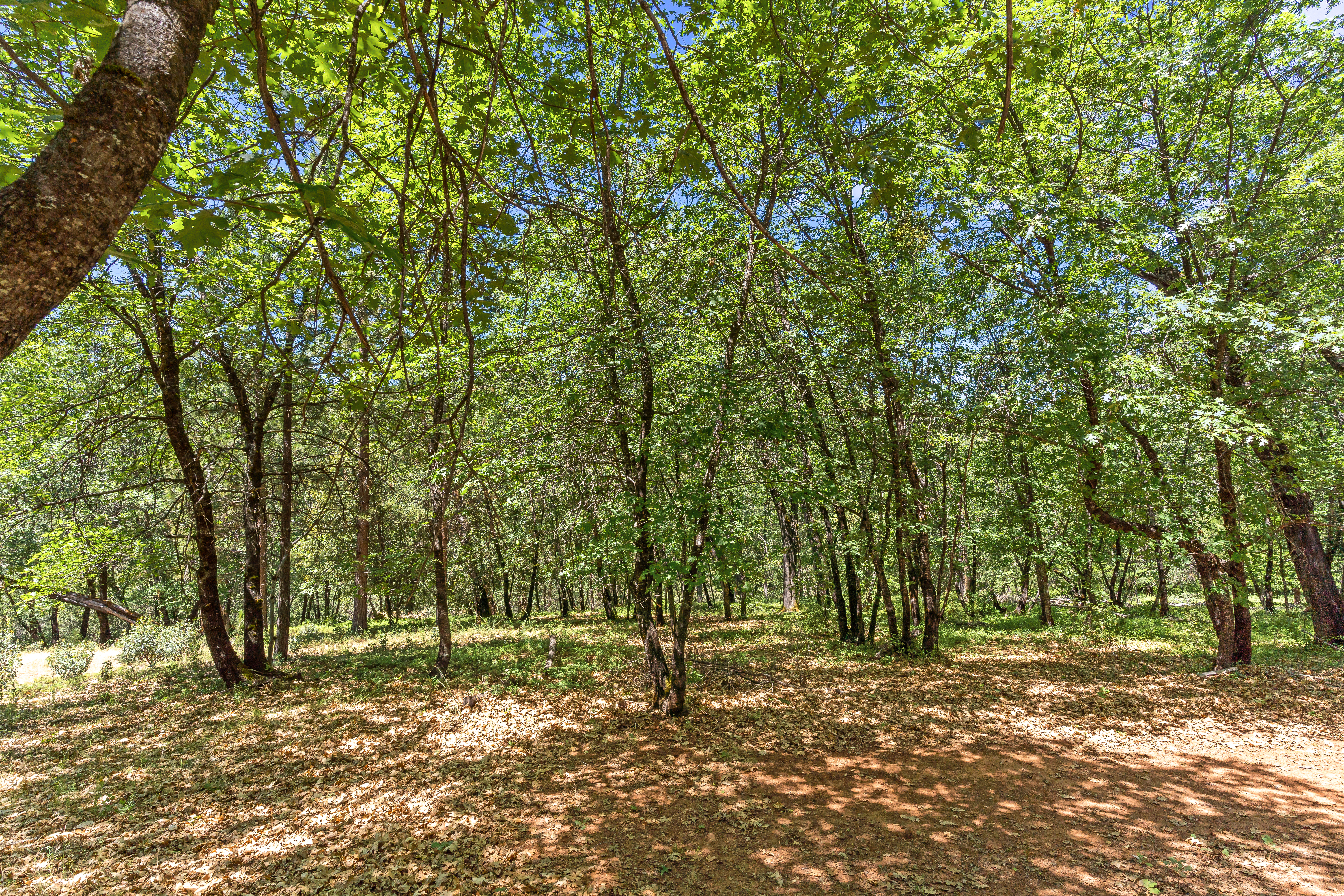 2640 Trail Gulch Road, Placerville, CA 95667 - 物件實景