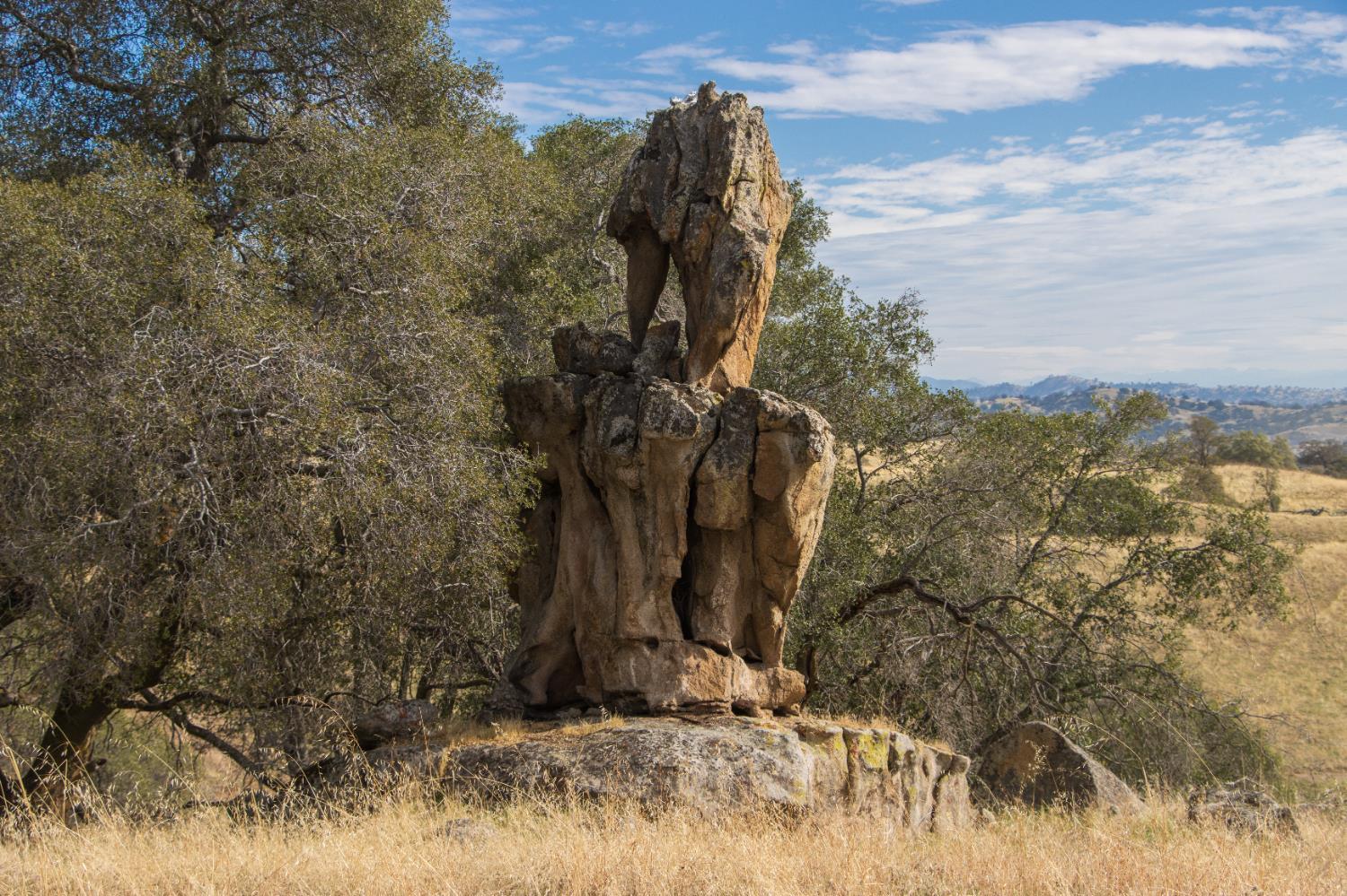 Coarsegold, California, 93614, United States, ,Residential,For Sale,2006211