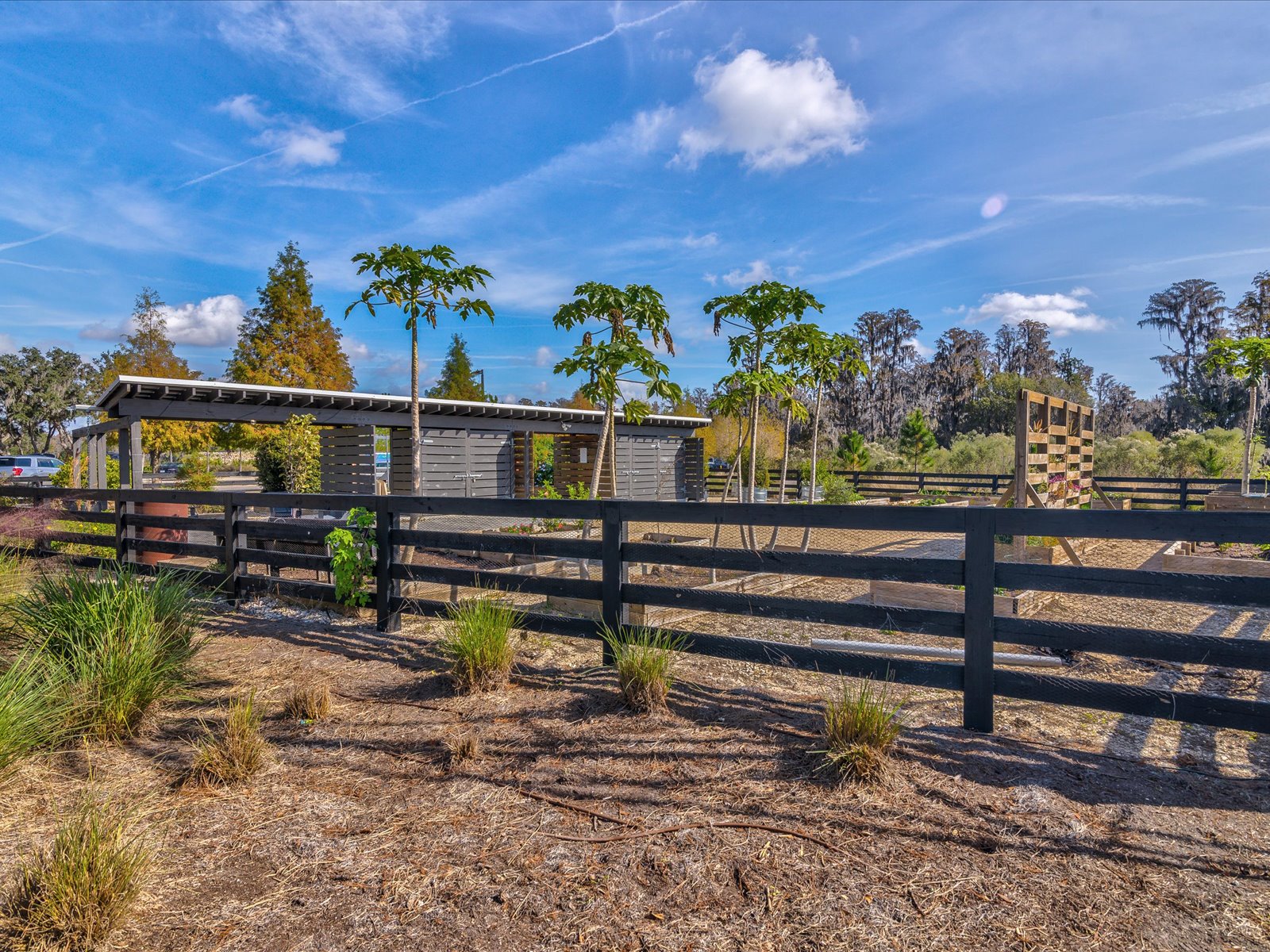 Odessa, Florida, 33556, United States, 3 Bedrooms Bedrooms, ,3 BathroomsBathrooms,Residential,For Sale,1868336