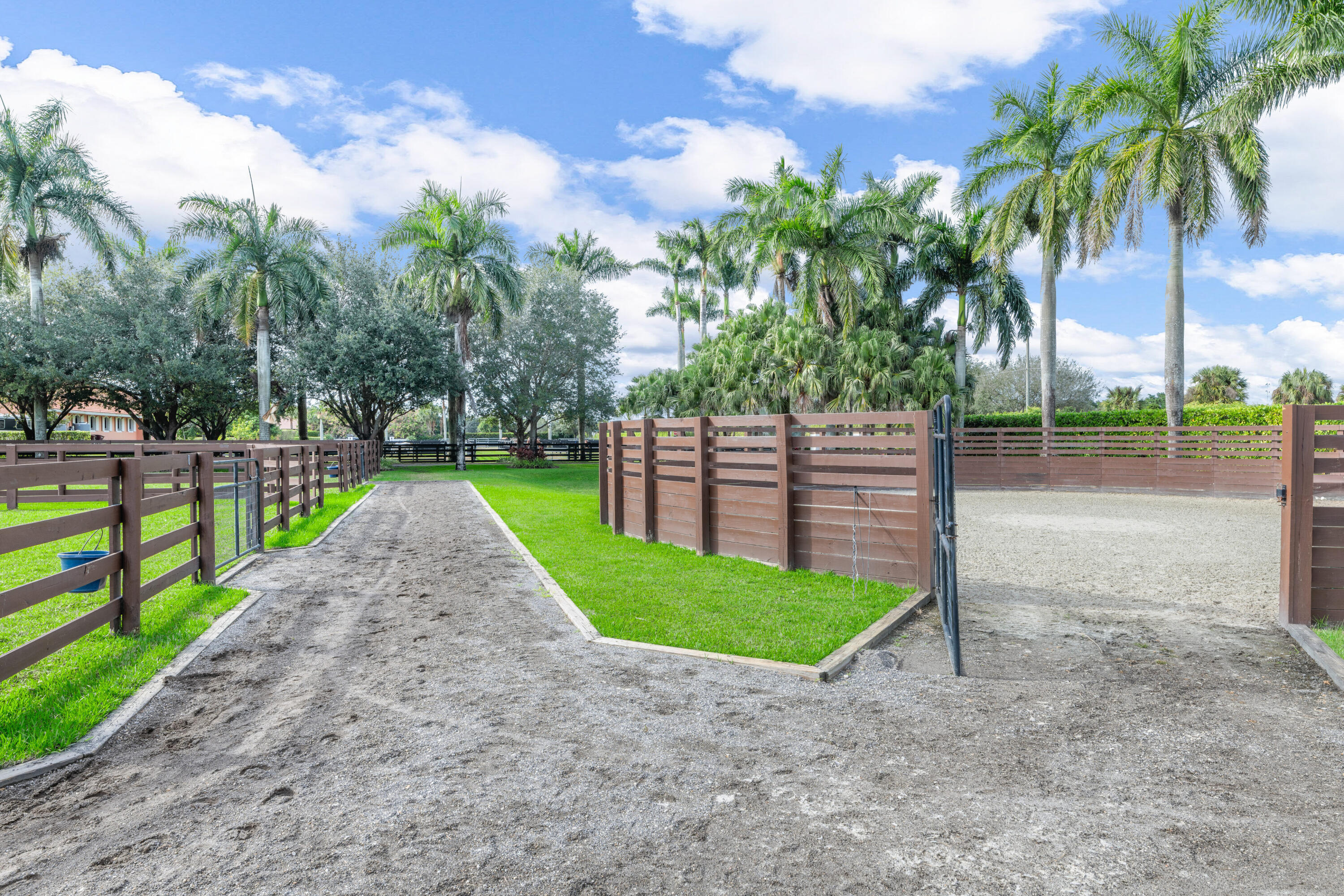  14750 Palm Beach Point Boulevard - 物件實景