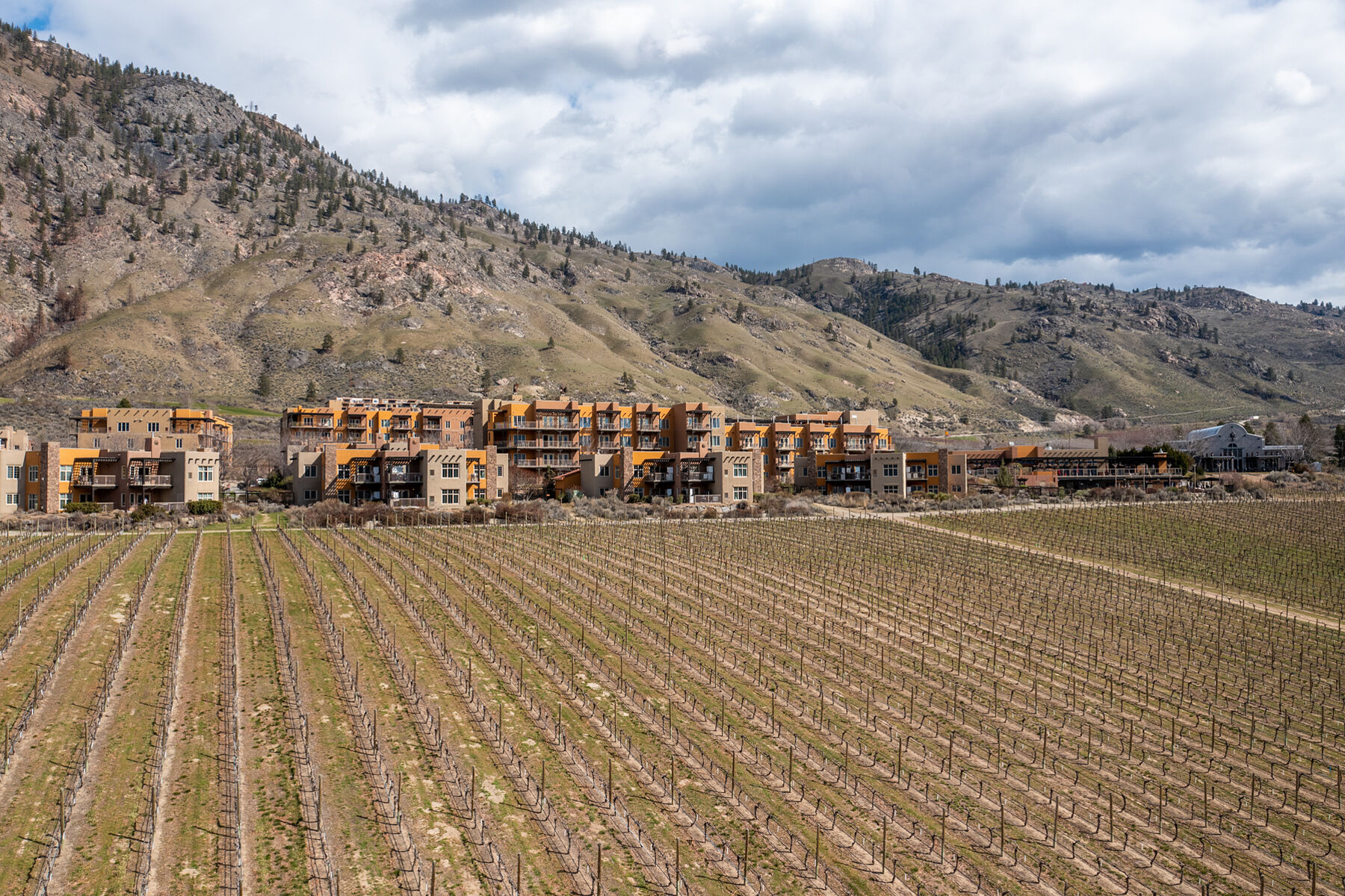  Spirit Ridge Osoyoos - 物件實景