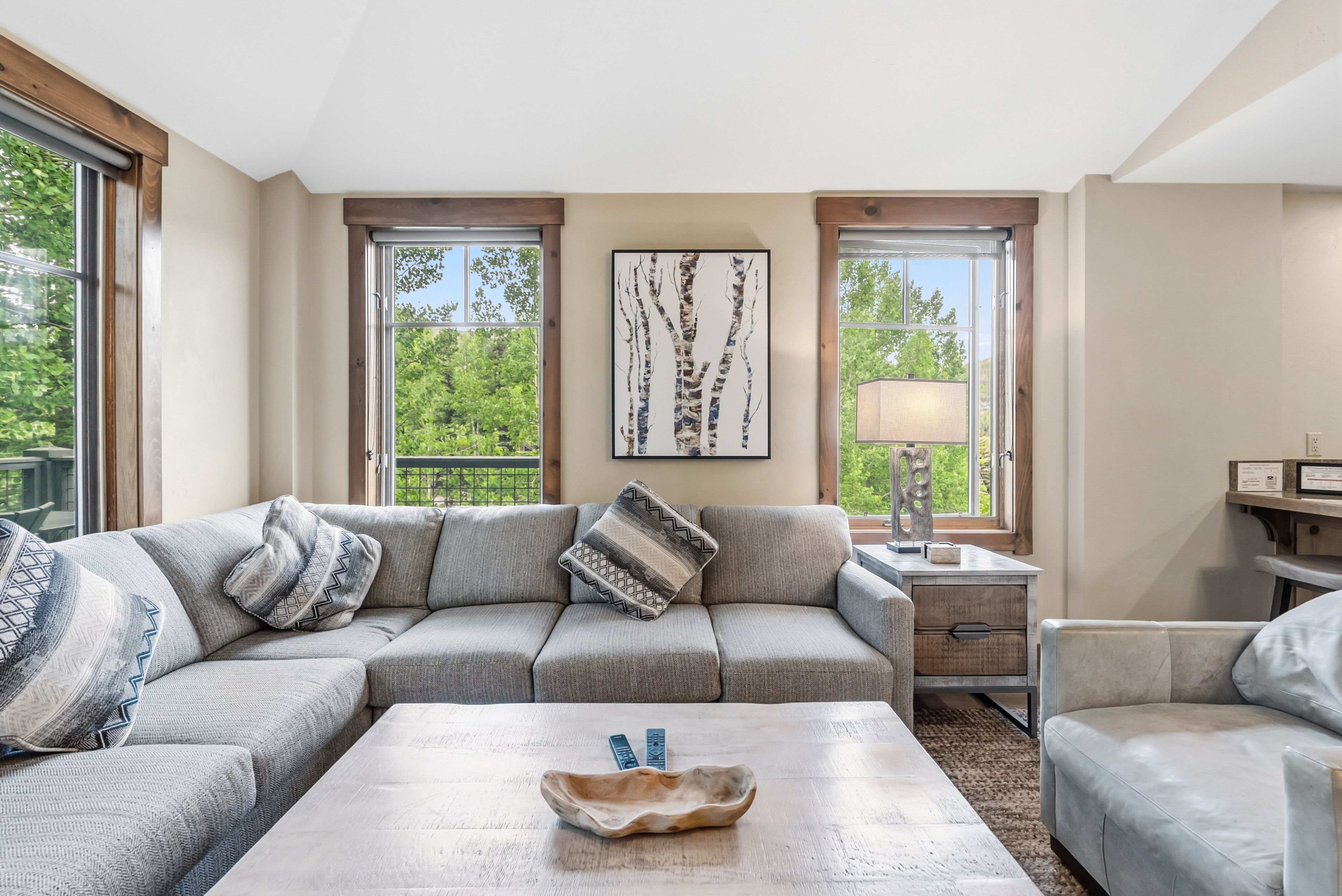  35 Mountain Thunder Drive, Breckenridge, CO, 80424 - 物件實景