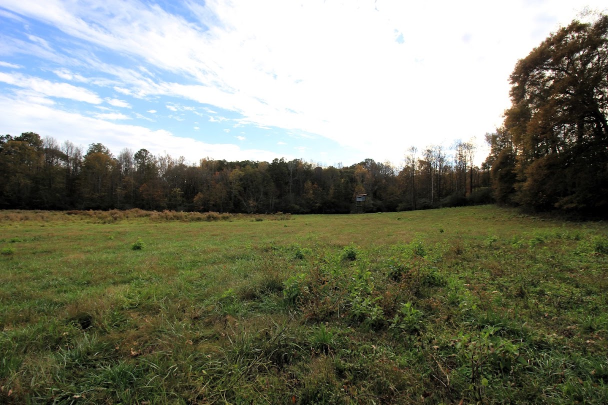 Bowdon, Georgia, 30108, United States, ,Land,For Sale,1989904