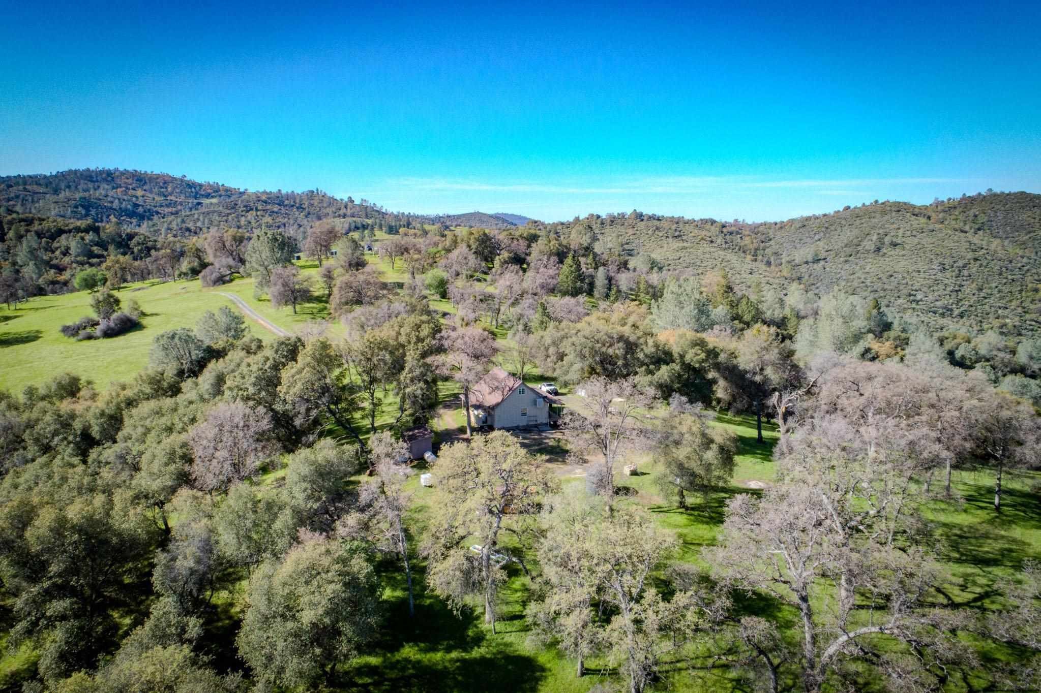 16551 Wards Ferry Rd, Big Oak Flat, California, 95305, United States, ,Land,For Sale,16551 Wards Ferry Rd,1554958