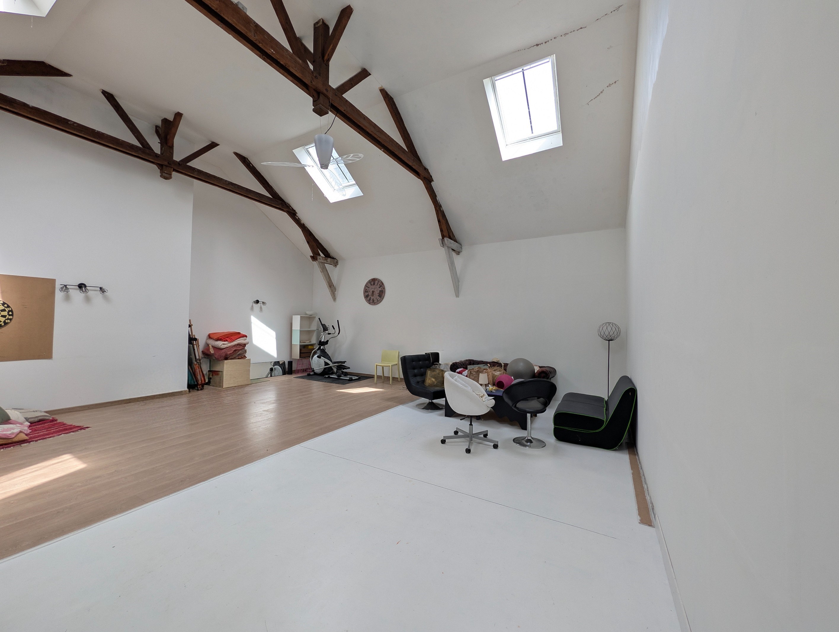  Spacious loft with garden and swimming pool in the centre of Angers - 物件實景