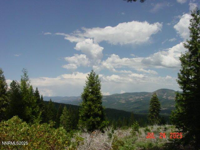 Clio, California, 96106, United States, ,Residential,For Sale,1932823