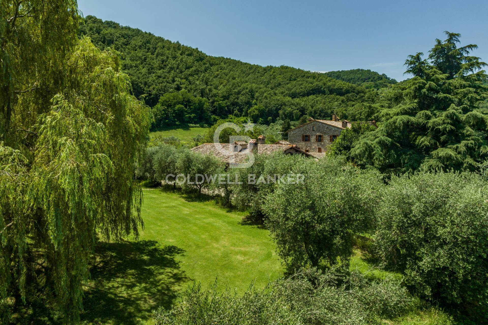 Zona Rotanselva, Ficulle, Terni, 05016, IT, 4 Bedrooms Bedrooms, ,5 BathroomsBathrooms,Residential,For Sale,Zona Rotanselva,1440609