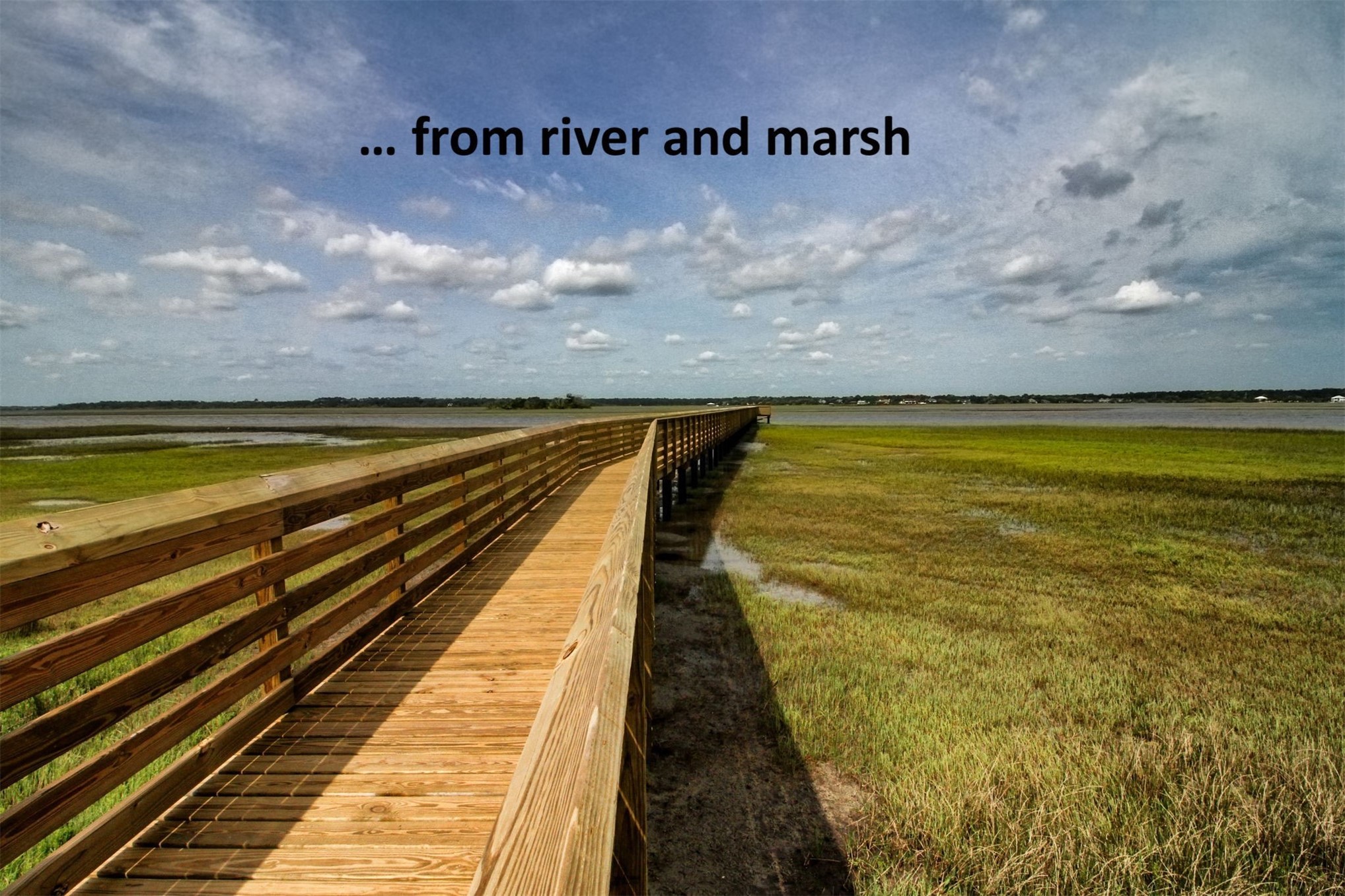 Fernandina Beach, Florida, 32034, United States, 4 Bedrooms Bedrooms, ,3 BathroomsBathrooms,Residential,For Sale,2022820