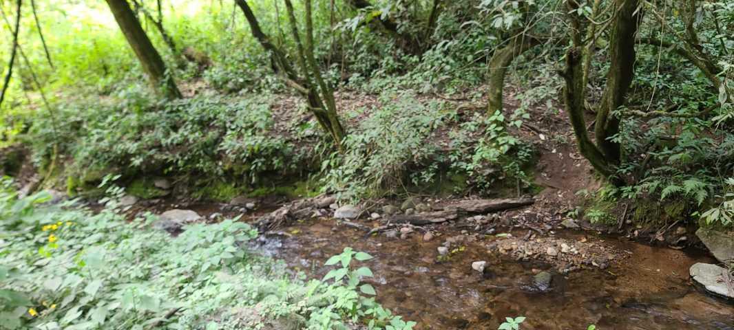 Valle de Bravo, Estado de México, 51200, Mexico, 1 Bedroom Bedrooms, ,Residential,For Sale,1739081