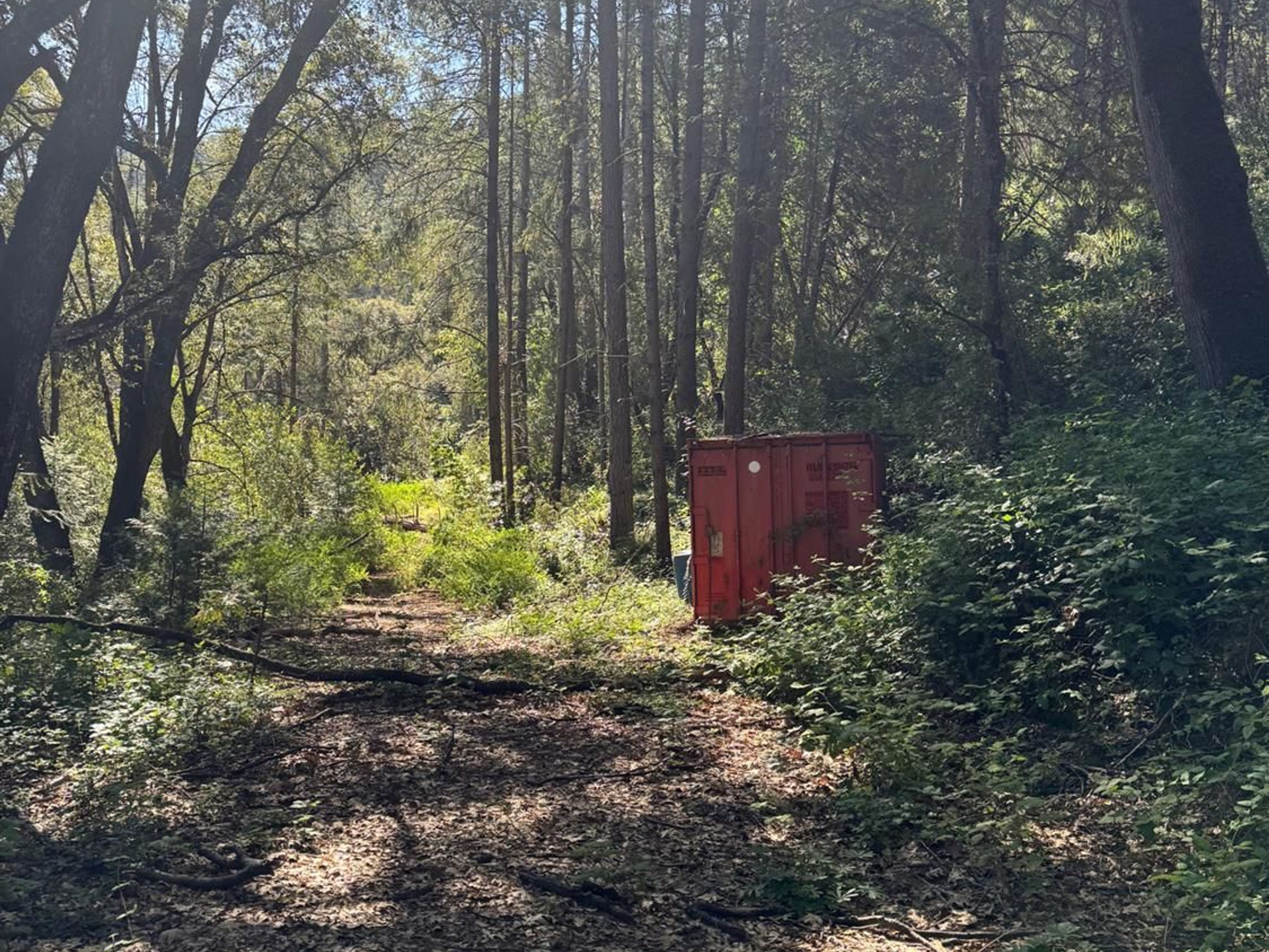  0 Old Country Road, West Point, CA 95255 - 物件實景