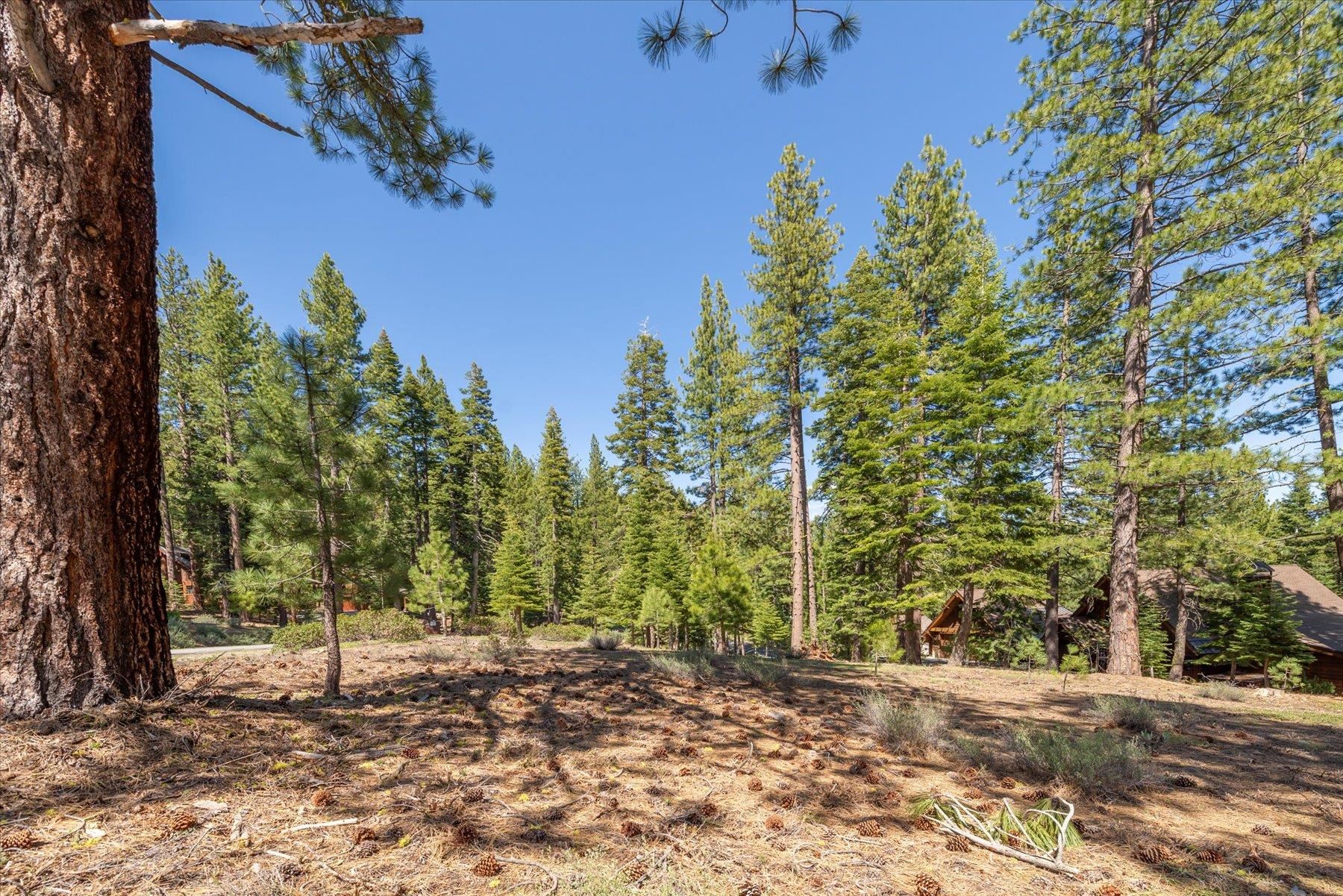Truckee, California, 96161, United States, ,Land,For Sale,1828145