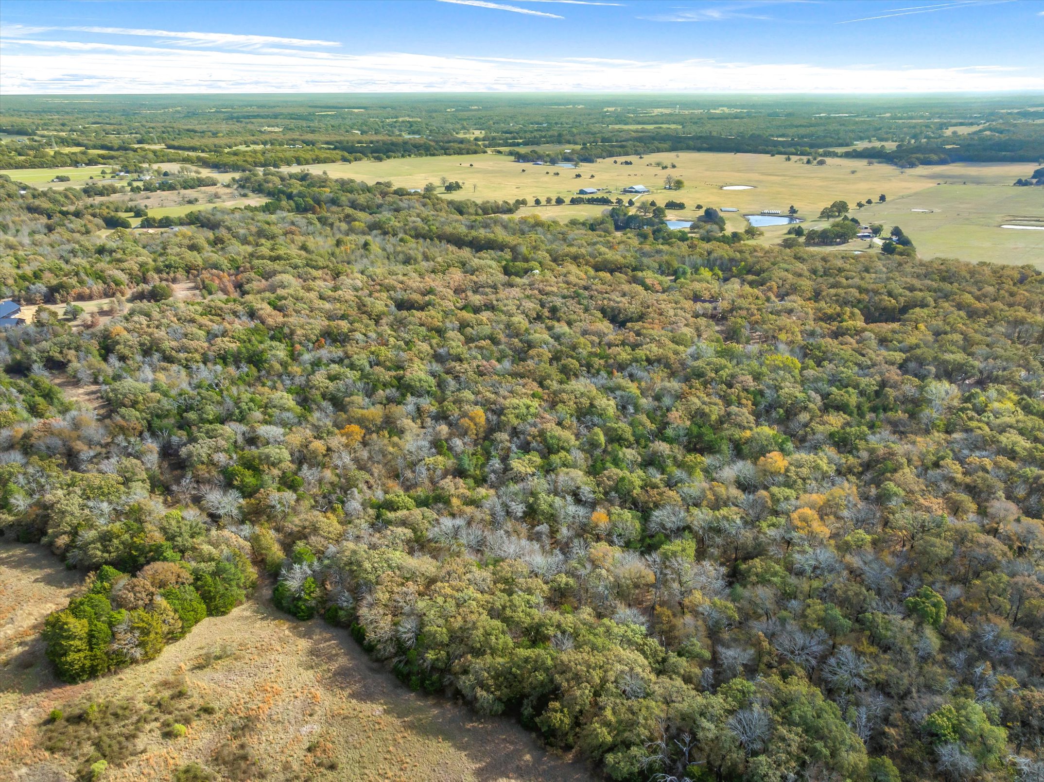 Wills Point, Texas, 75169, United States, 4 Bedrooms Bedrooms, ,4 BathroomsBathrooms,Residential,For Sale,1996475