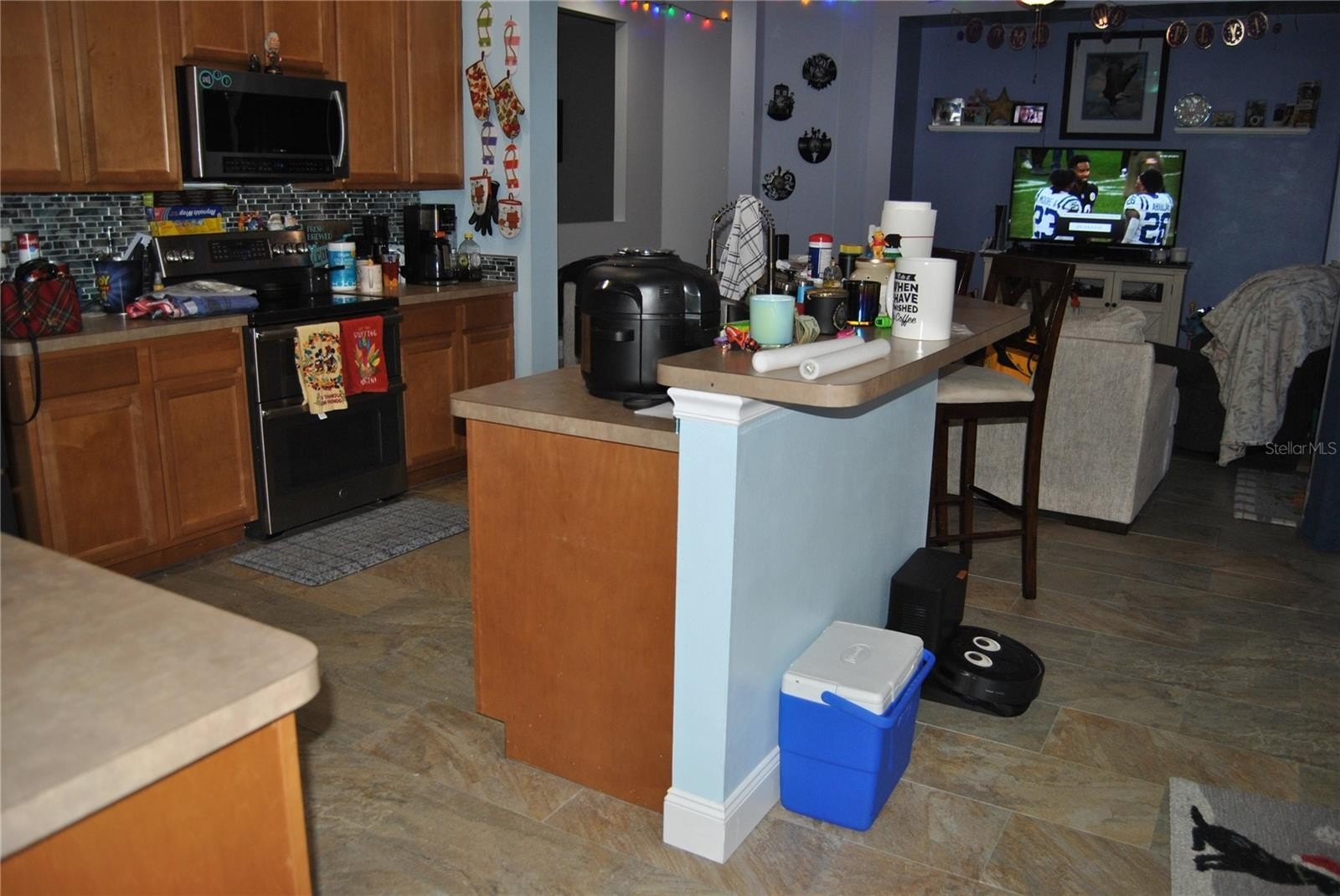 VALRICO, Florida, 33594, United States, 4 Bedrooms Bedrooms, ,3 BathroomsBathrooms,Residential,For Sale,1986127