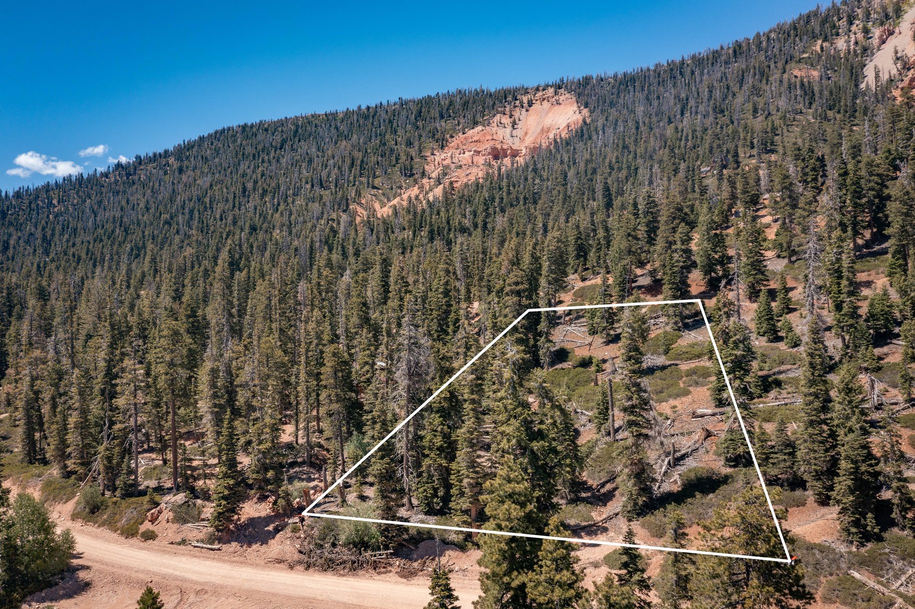  Quiet Mountain Retreat Near Navajo Lake - 物件實景