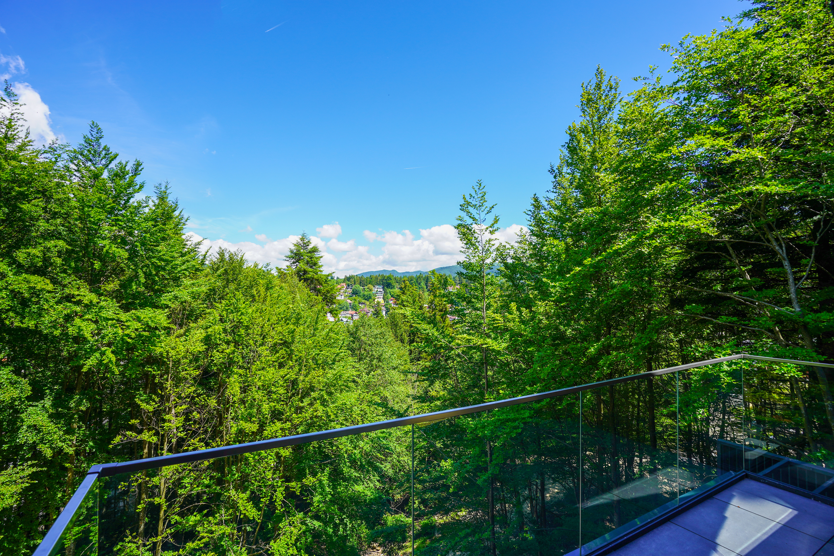  Penthouse Bordering the Forest, Sinaia - 物件實景
