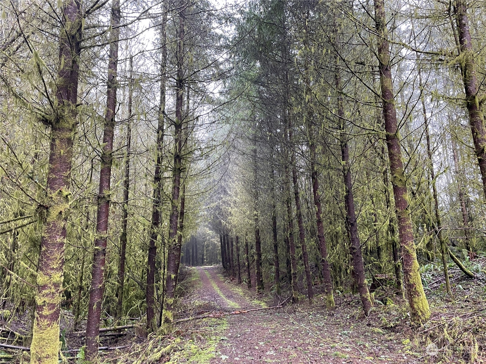 0 Fallert Road, Kalama, Washington, 98625, United States, ,Land,For Sale,0 Fallert Road,1273199