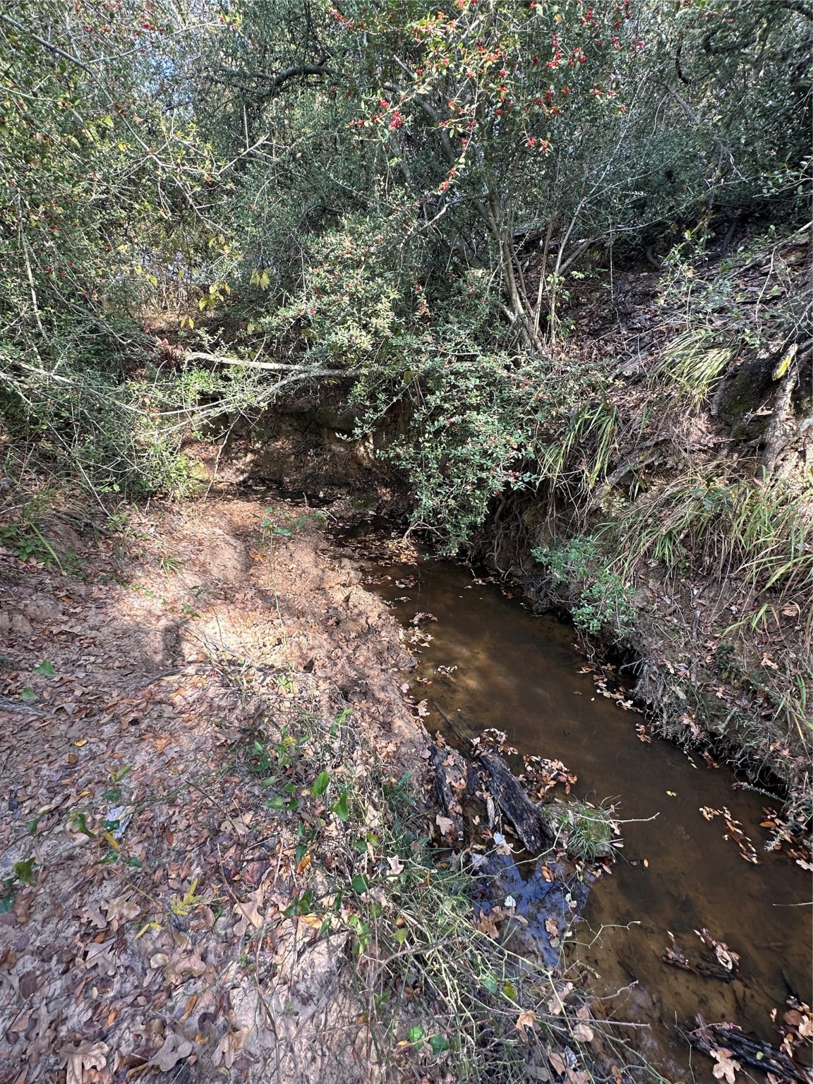 Thornton, Texas, 76687, United States, ,Land,For Sale,1995546