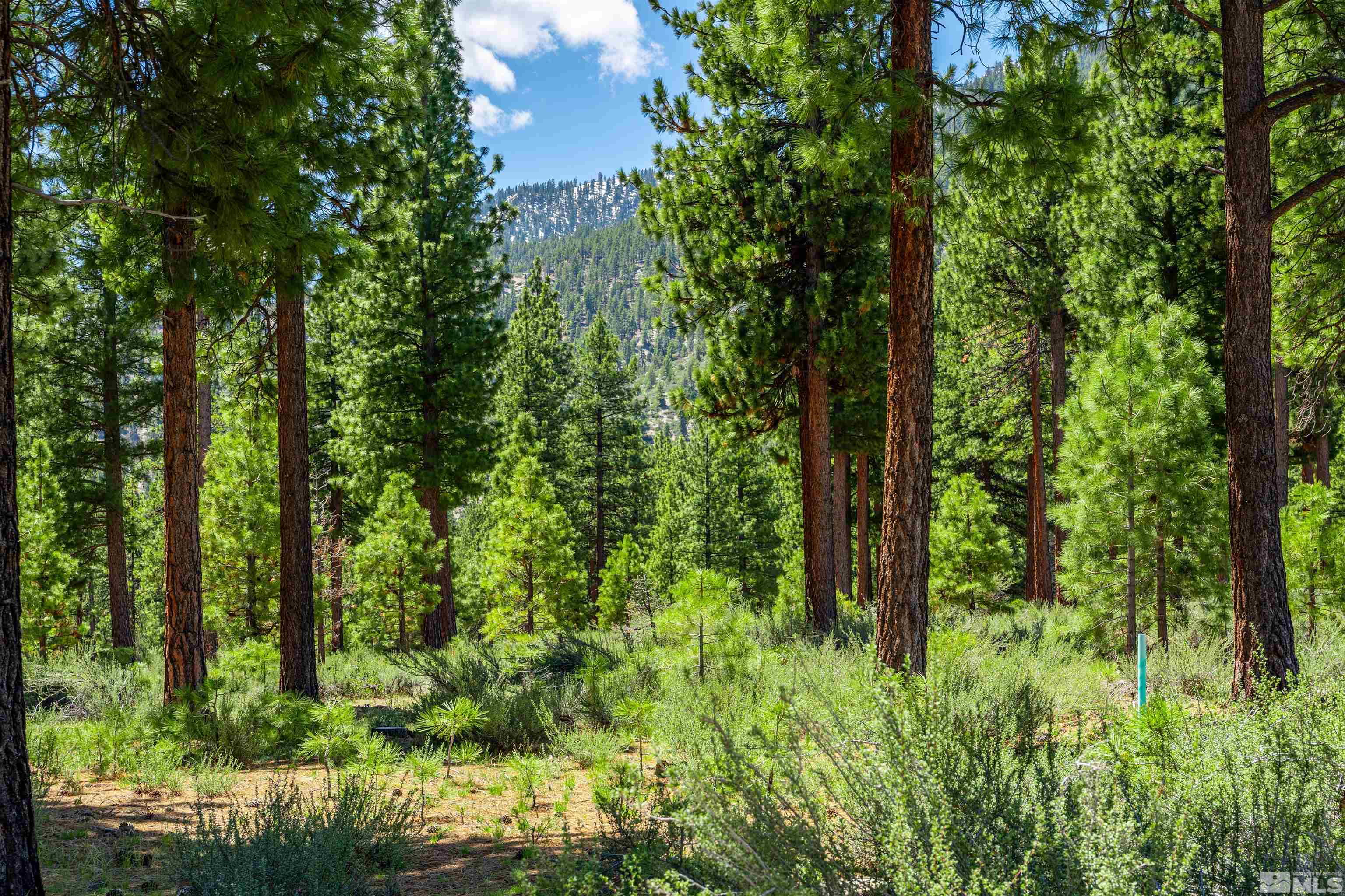 Carson City, Nevada, 89705, United States, ,Land,For Sale,1826407