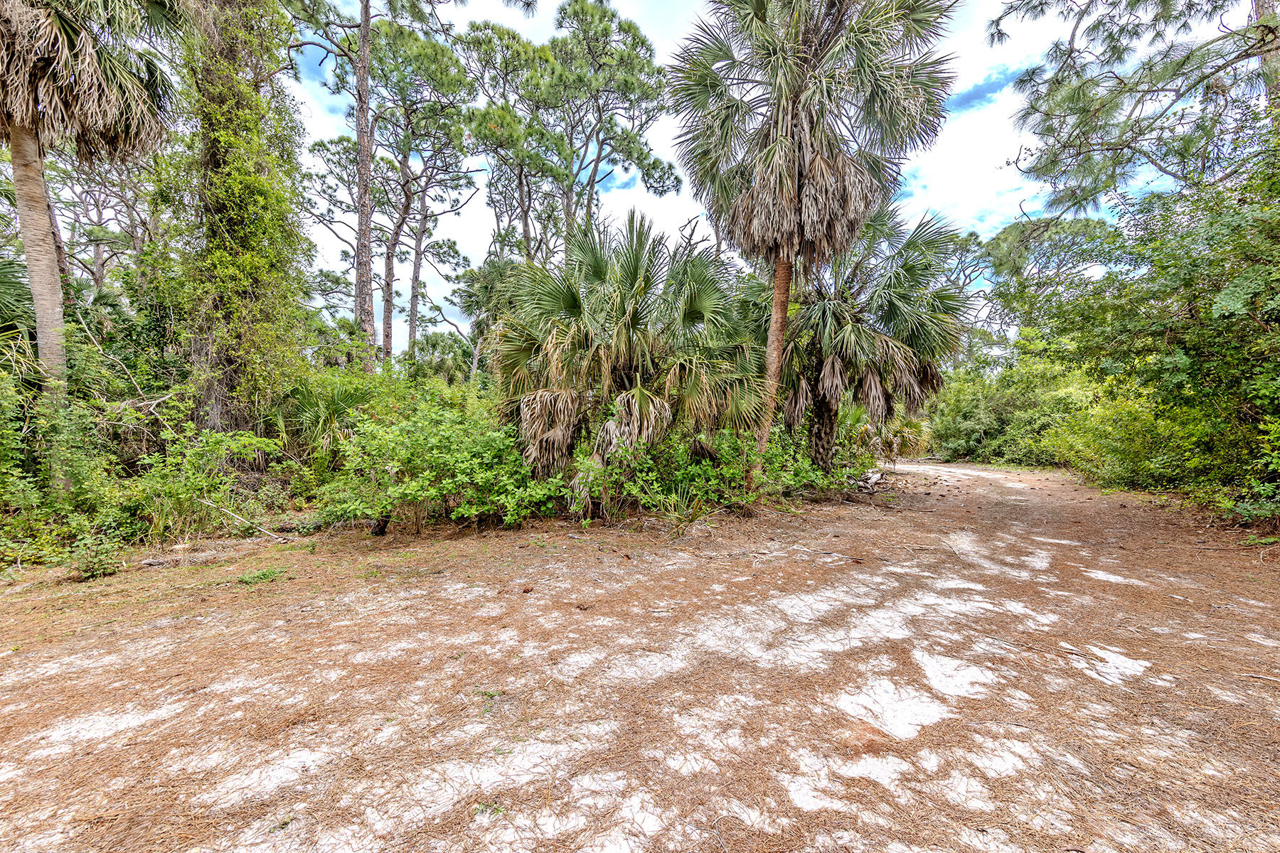  VENICE FARMS - 物件實景