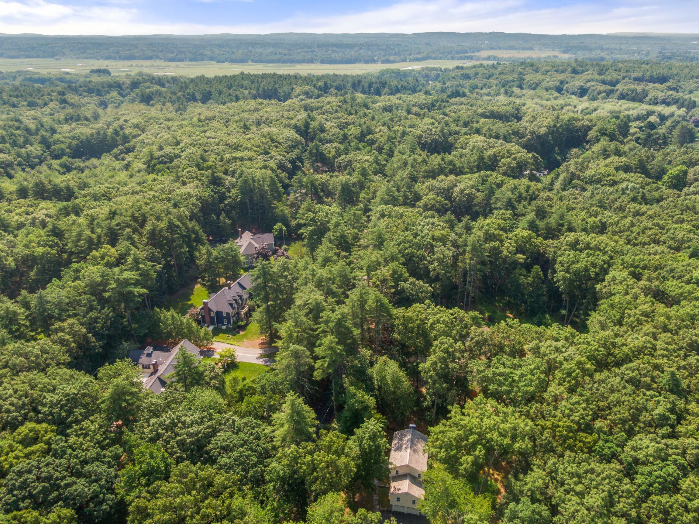  113 Newbridge Road, Sudbury, MA, 01776 - 物件實景