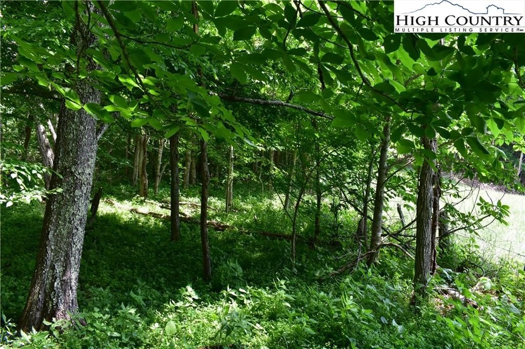 Warrensville, North Carolina, 28693, United States, ,Land,For Sale,1984173