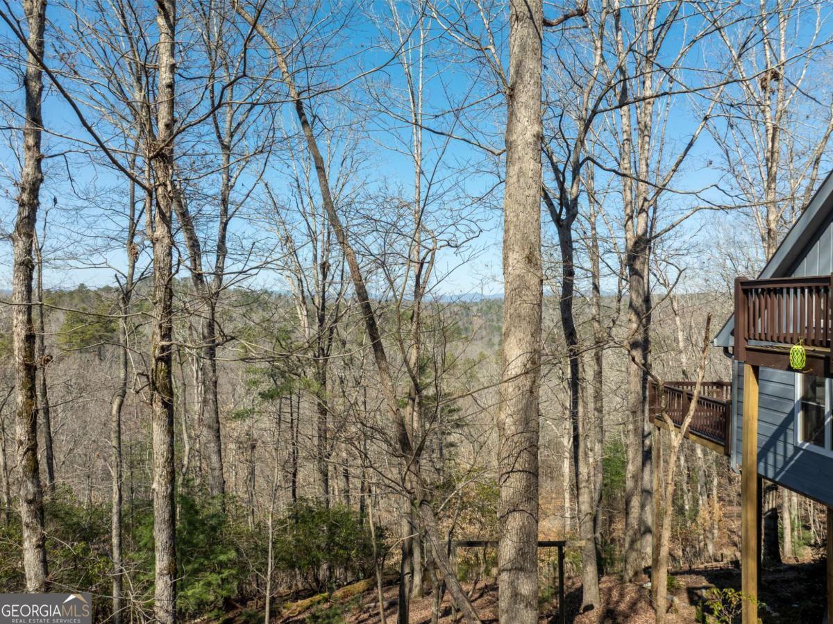 Ellijay, Georgia, 30540, United States, 4 Bedrooms Bedrooms, ,4 BathroomsBathrooms,Residential,For Sale,1859084