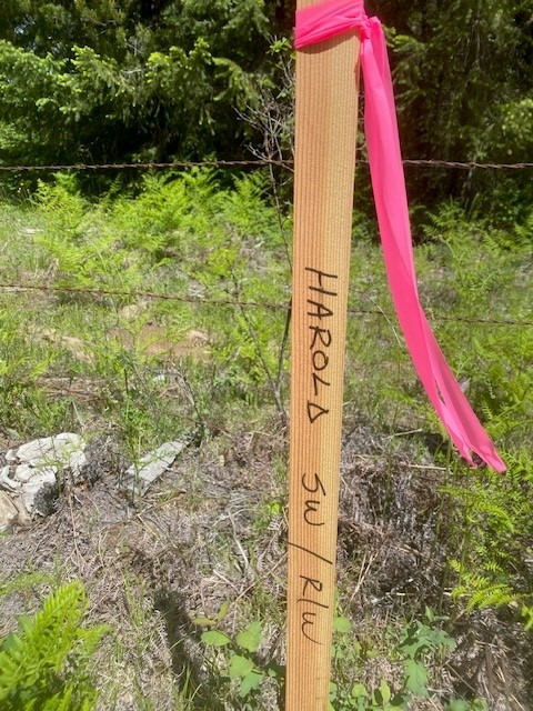 Priest River, Idaho, 83856, United States, ,Land,For Sale,1983206