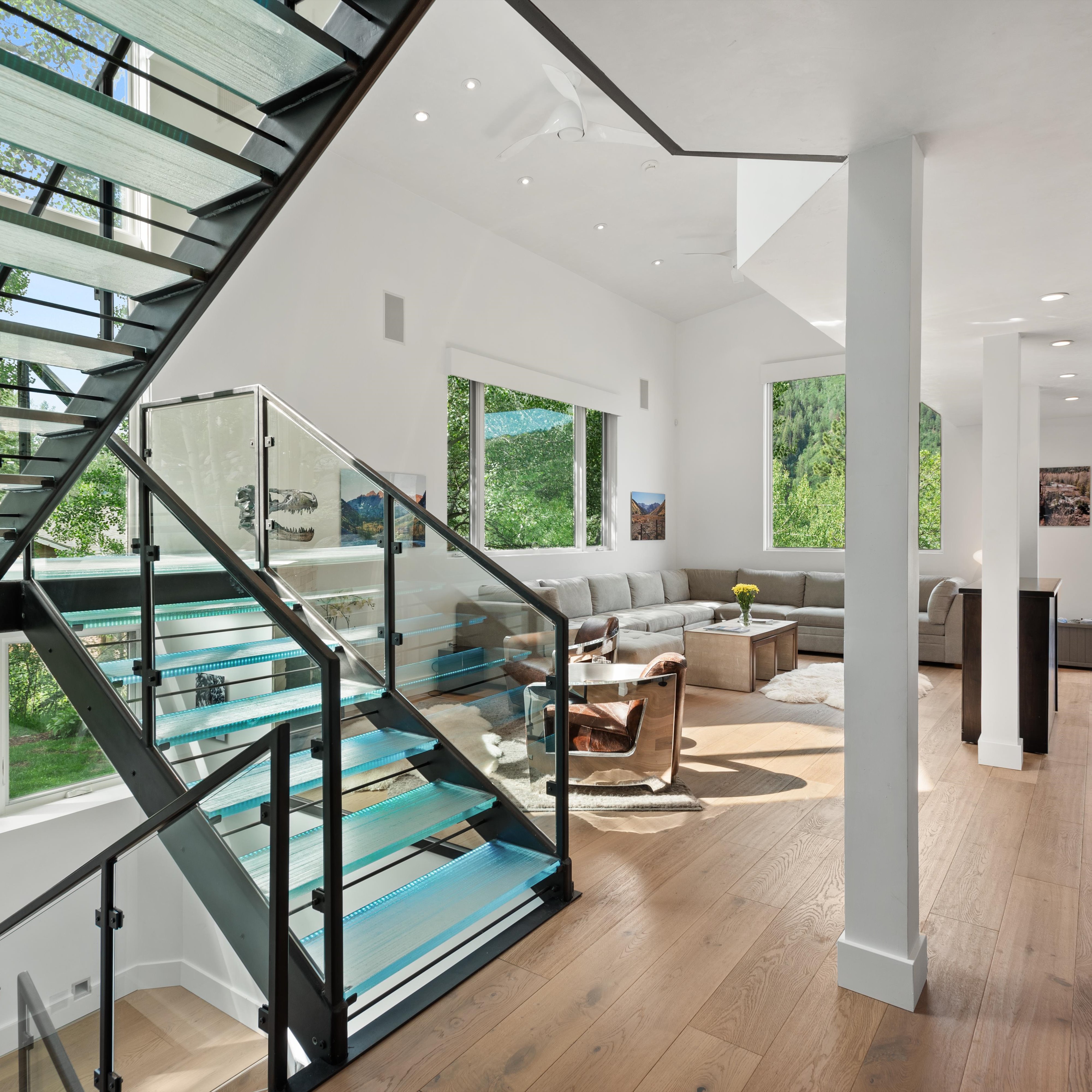  257 Mountain Laurel Drive, Aspen, CO, 81611 - 物件實景