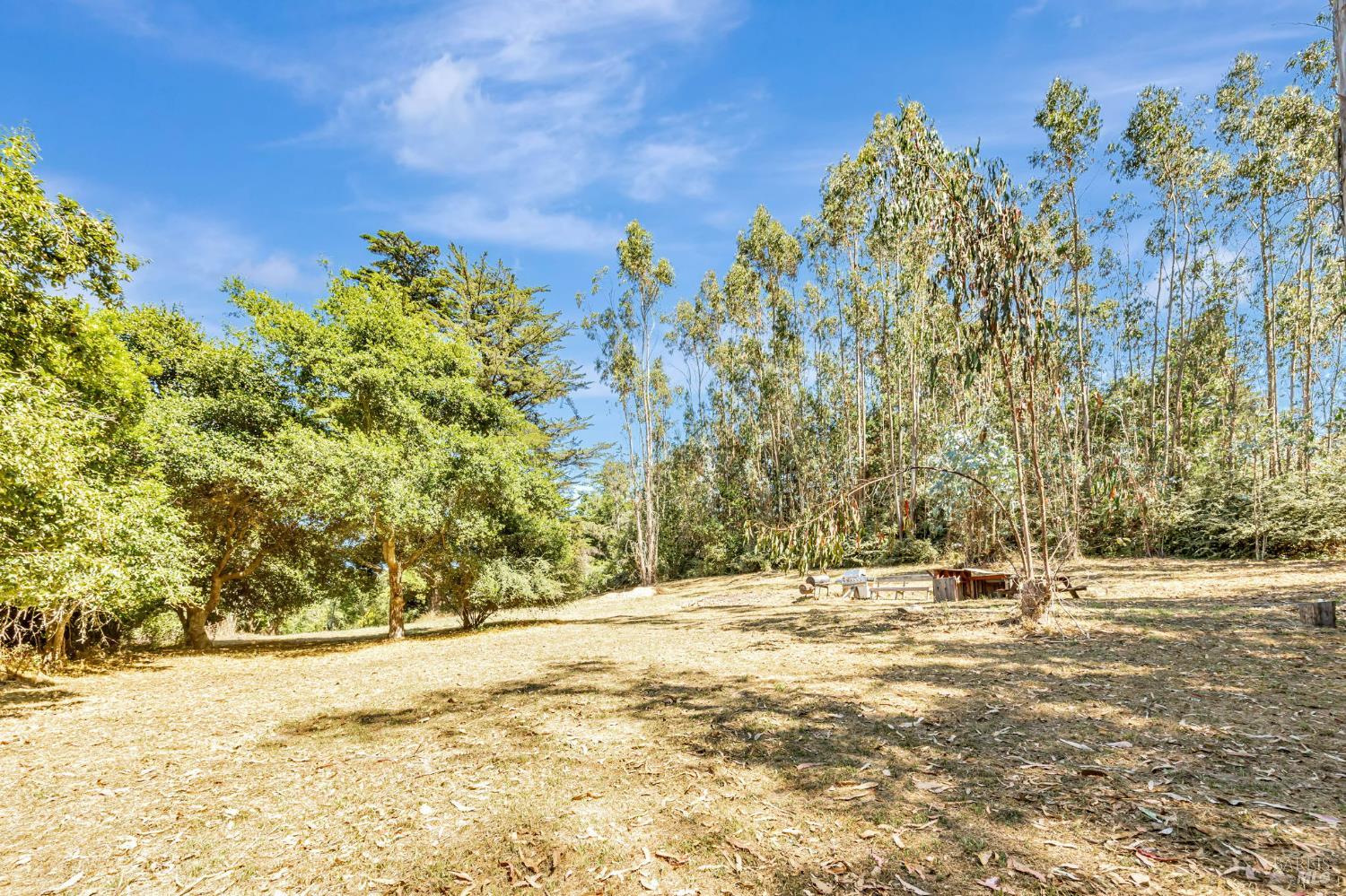 Sebastopol, California, 95472, United States, 3 Bedrooms Bedrooms, ,3 BathroomsBathrooms,Residential,For Sale,1903540