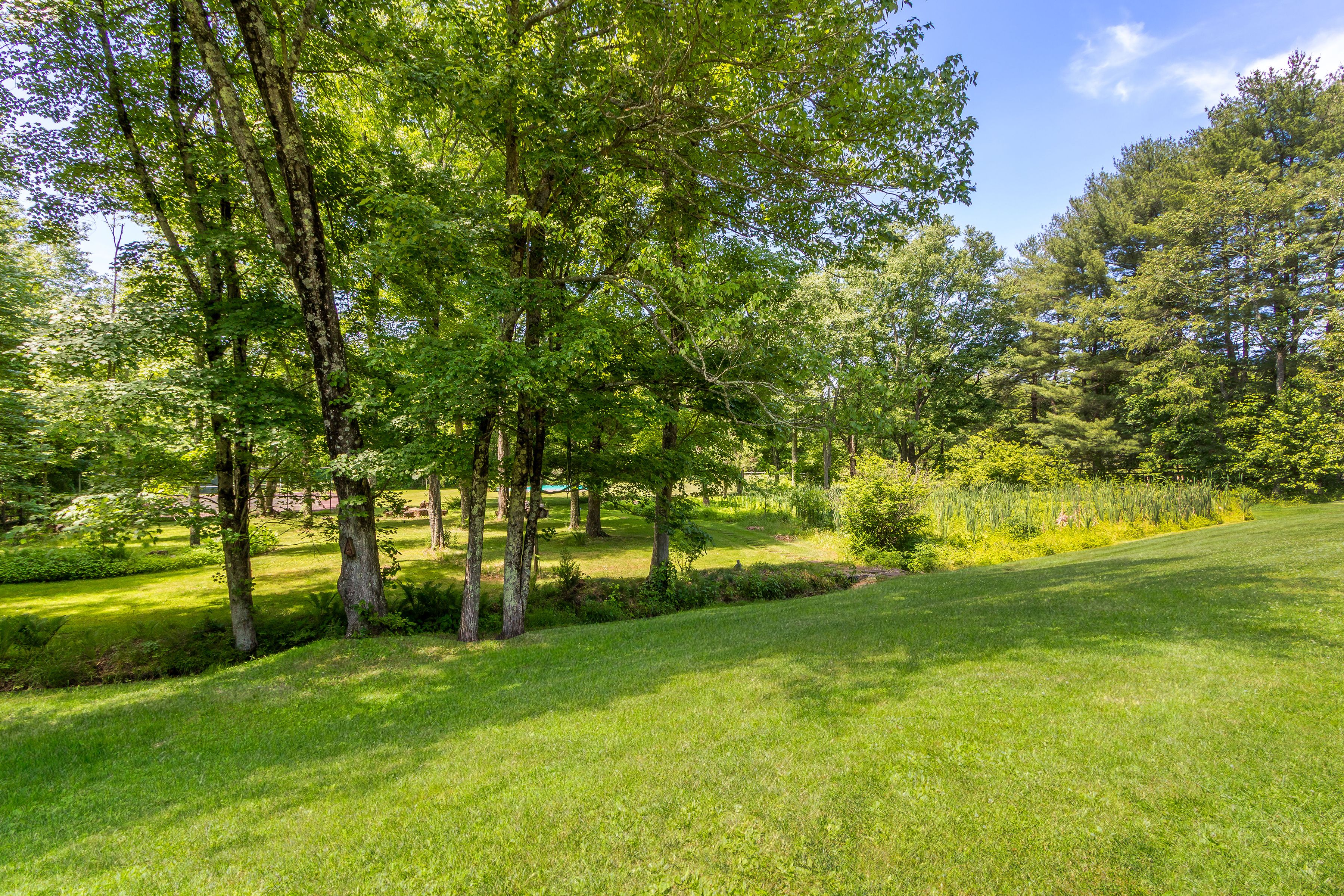  4444 Bergstrom Road, Doylestown, PA 18902 - 物件實景