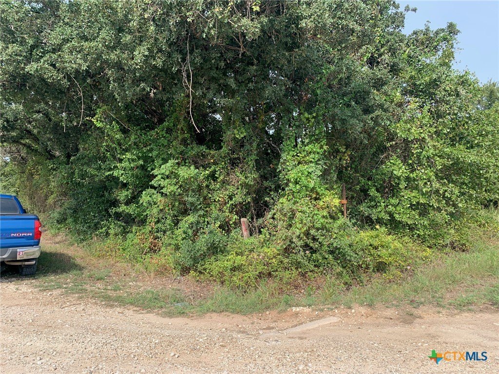 Chilton, Texas, 76632, United States, ,Residential,For Sale,1942716