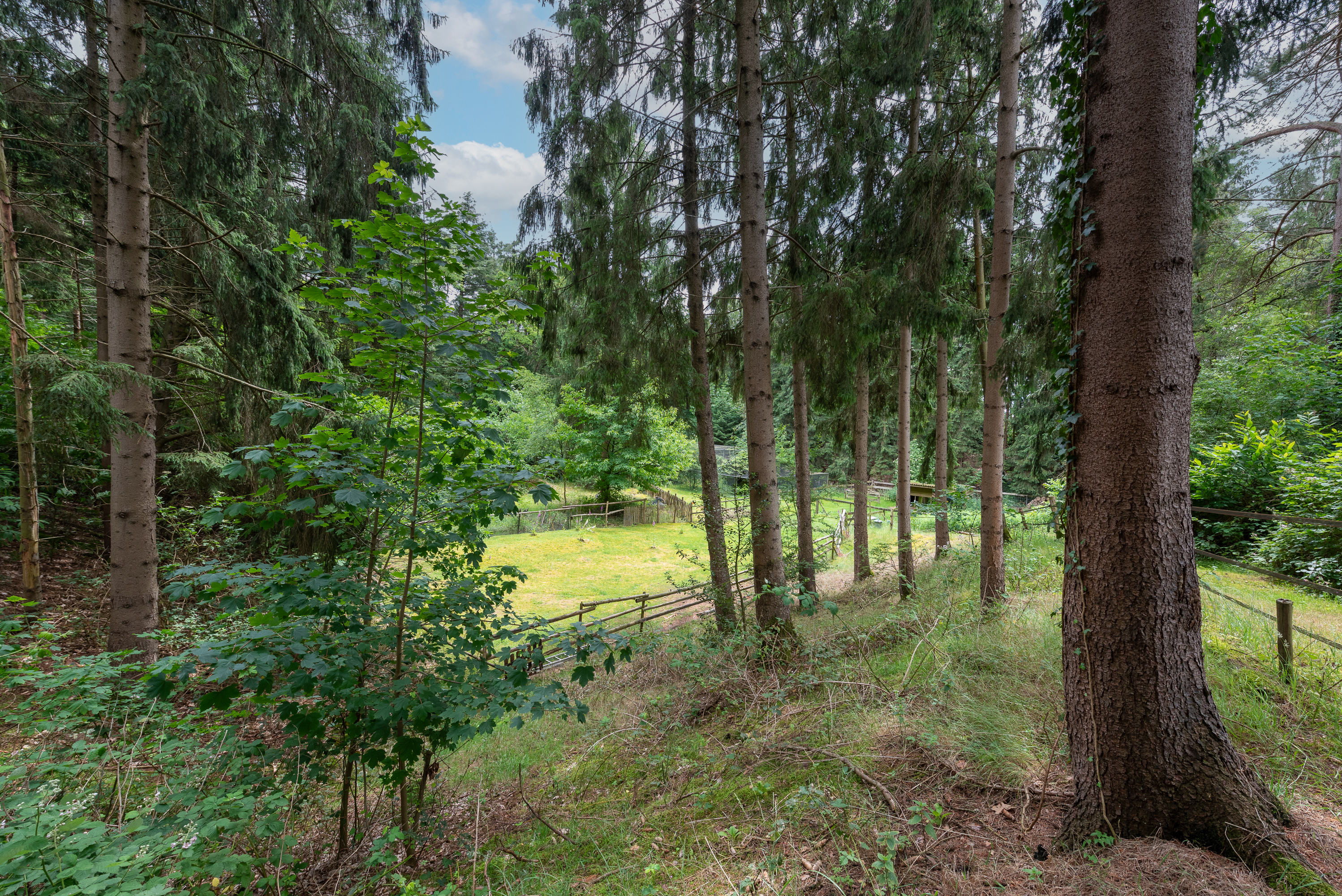 Hidden Woodland Estate with Exceptional Privacy on the Utrechtse Heuvelrug - 物件實景