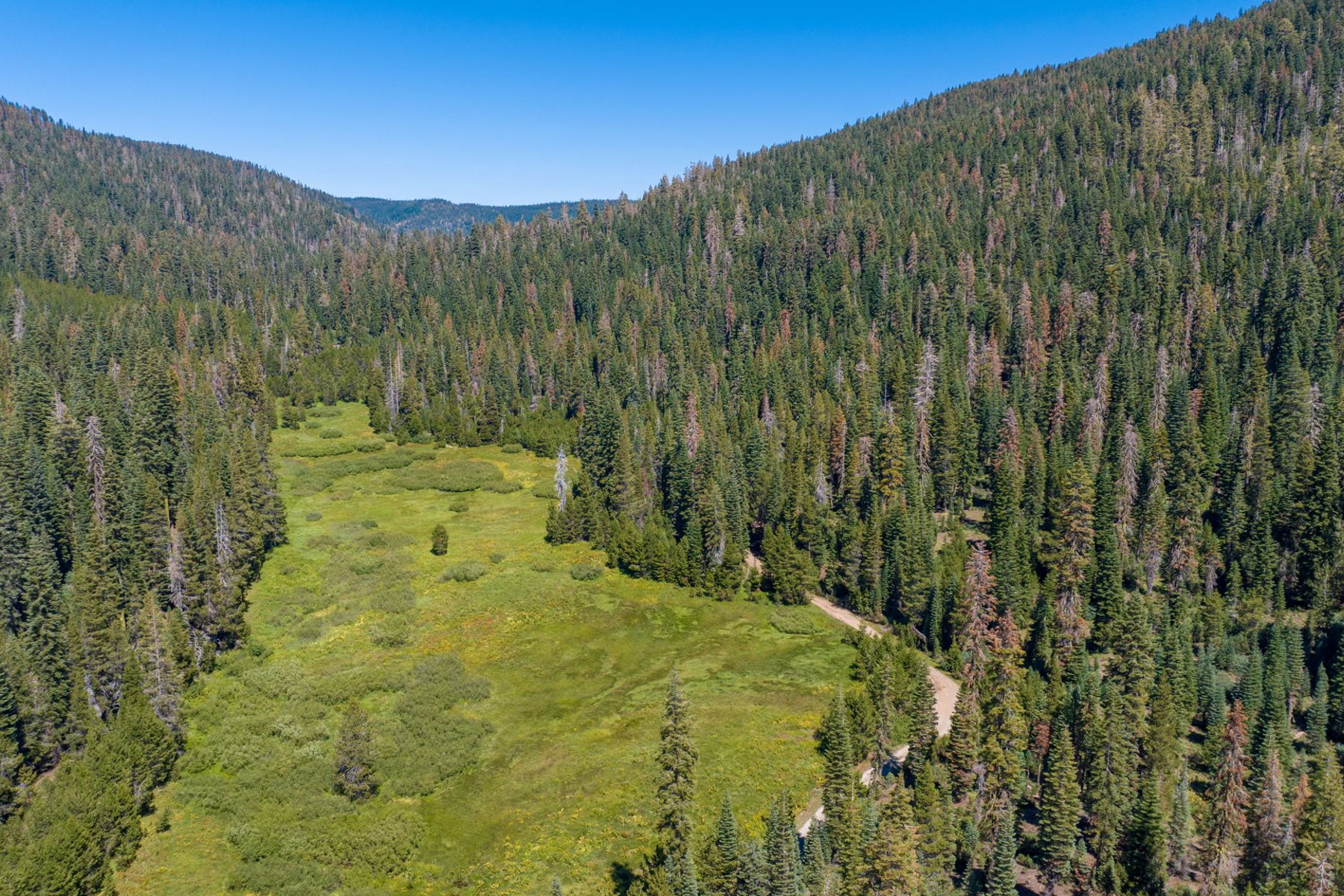  80 Acres of Pristine Land in the Middle of Plumas Eureka State Park - 物件實景