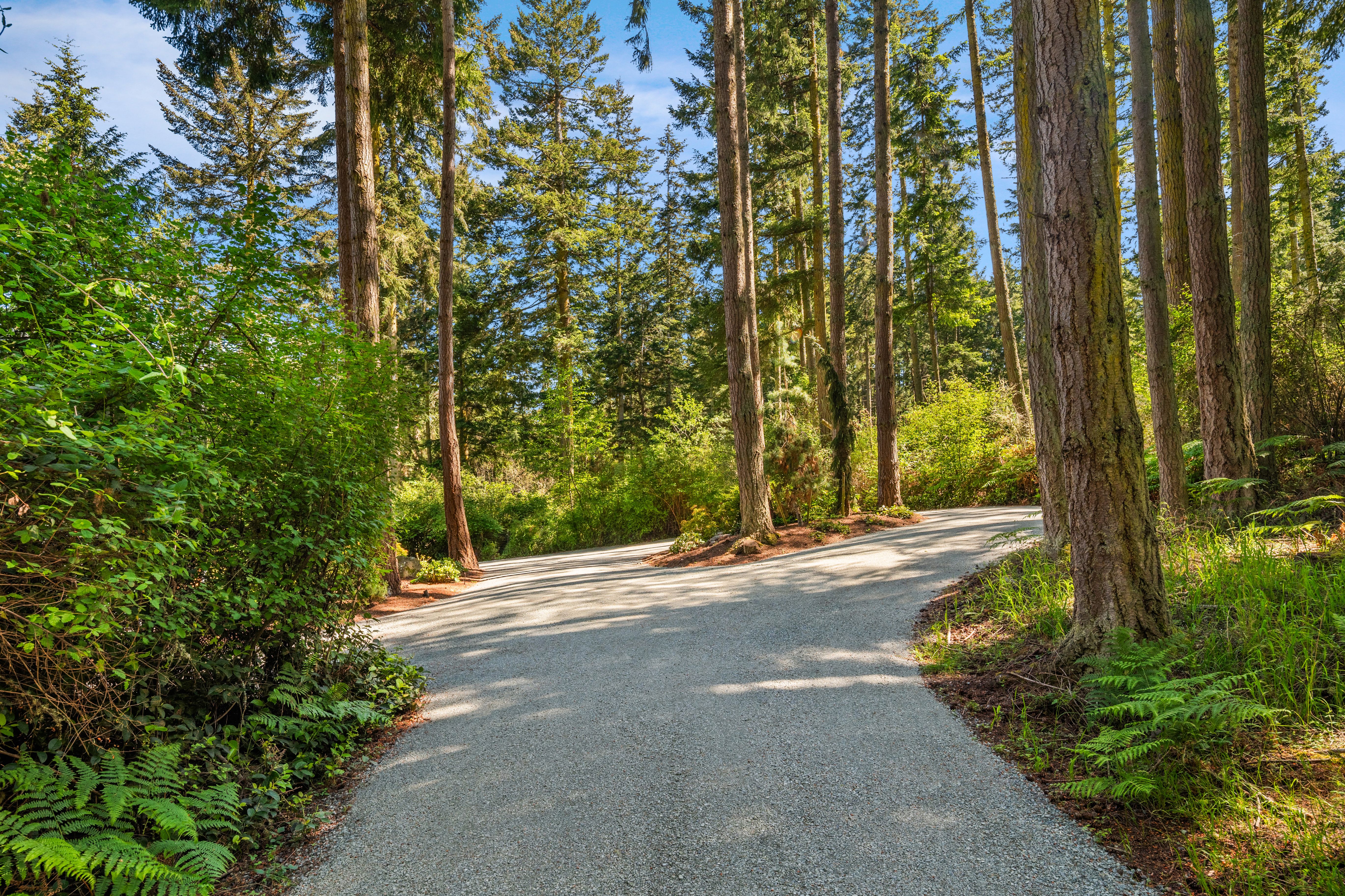  1035 Susan St, Coupeville, WA 98239 - 物件實景