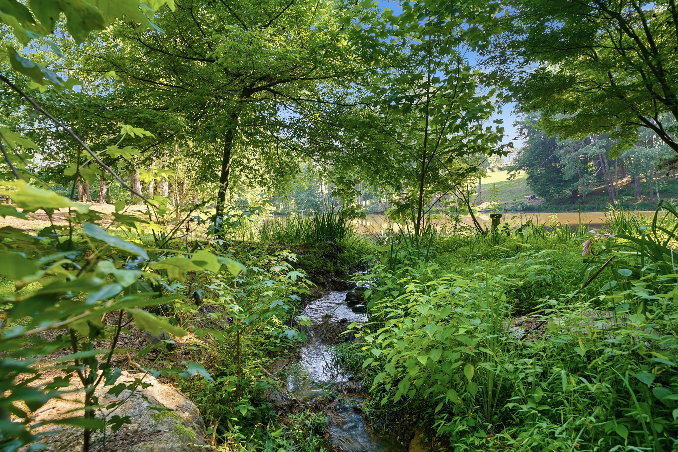  Exceptional Brick Ranch on 5+/- Picturesque Acres - 物件實景