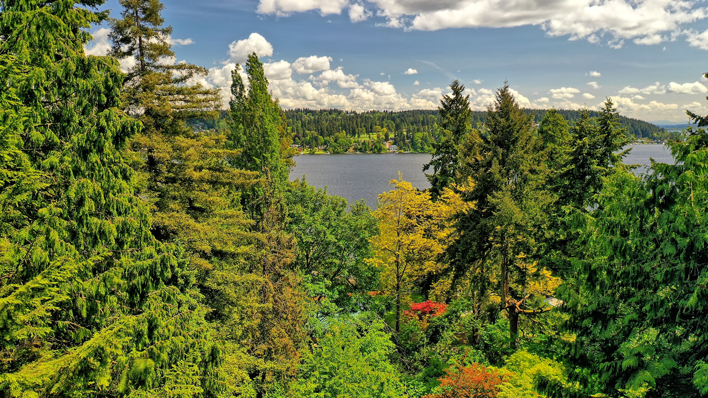  Development Opportunity in Lake Forest Park - 物件實景