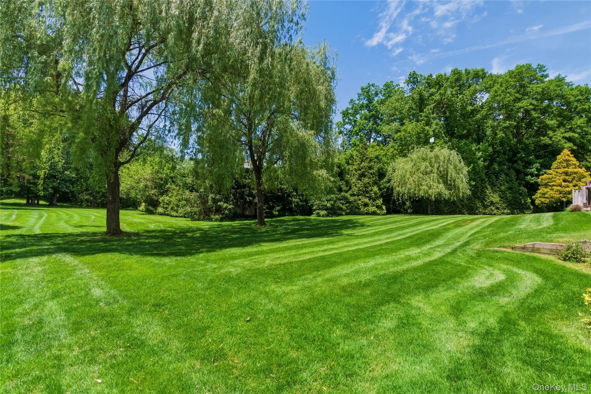  44 Hidden Ridge Drive, Syosset, NY, 11791 - 物件實景