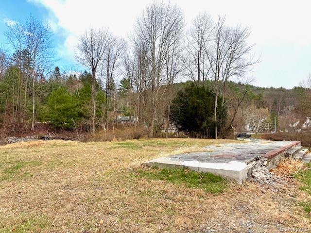 Barryville, New York, 12719, United States, 1 Bedroom Bedrooms, ,Residential,For Sale,1996622