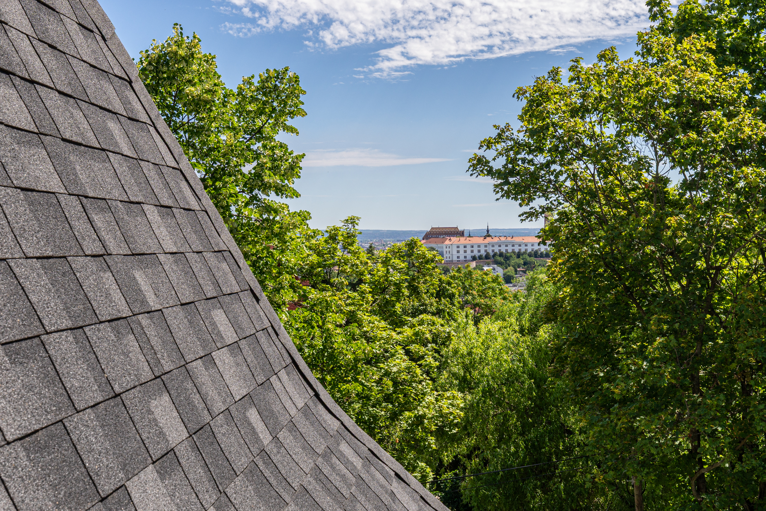  Timeless Villa Estate in the Heart of Buda - 物件實景