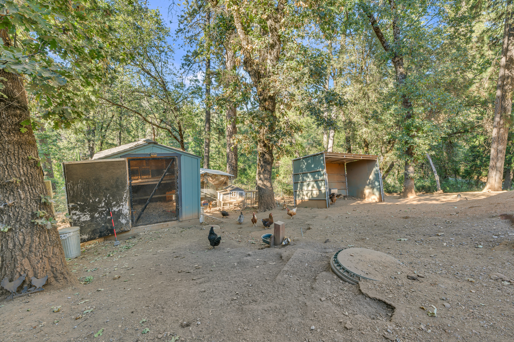  Placer Hills Road, Colfax, CA 95713 - 物件實景
