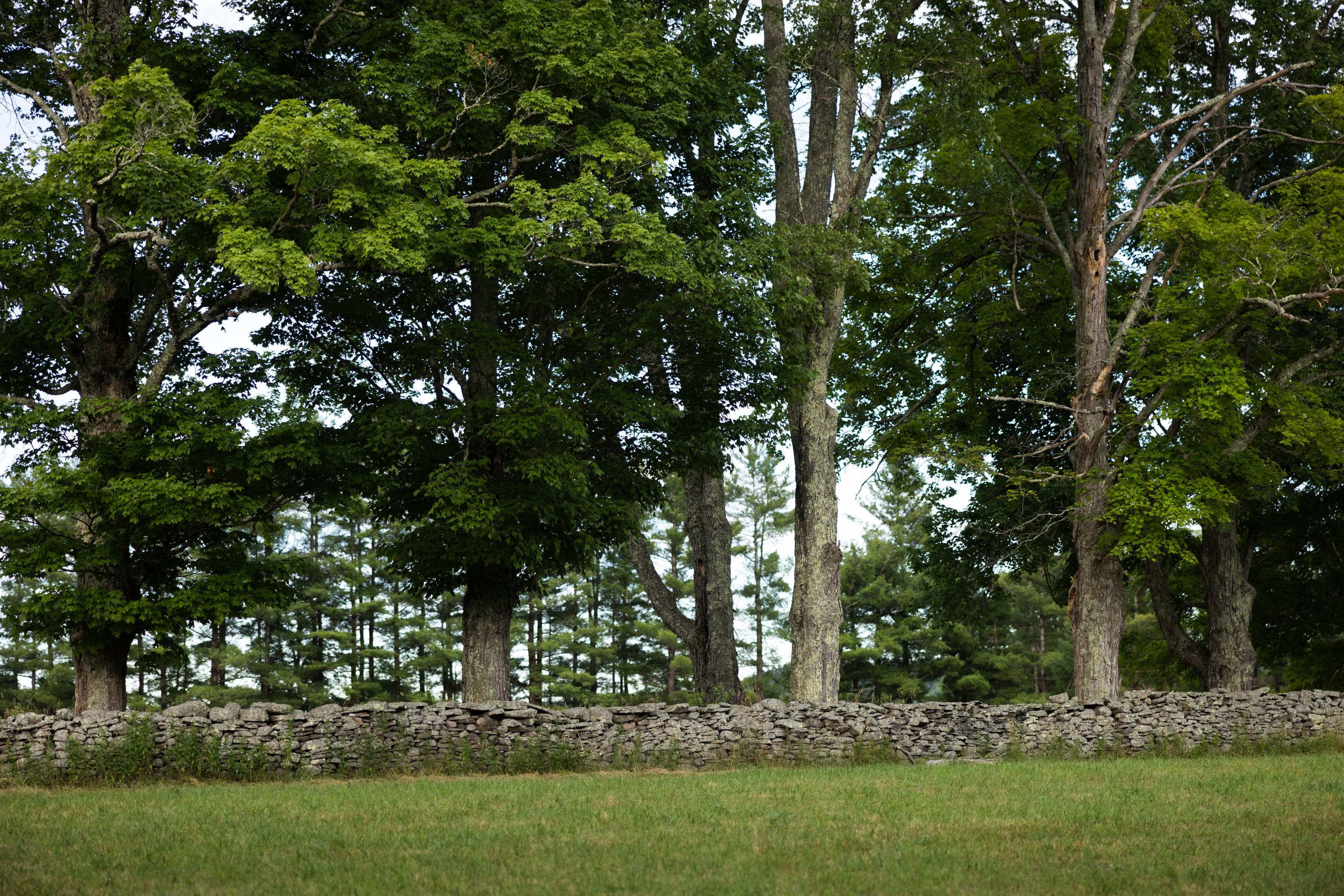  Fraser Settlement 1808 - 物件實景