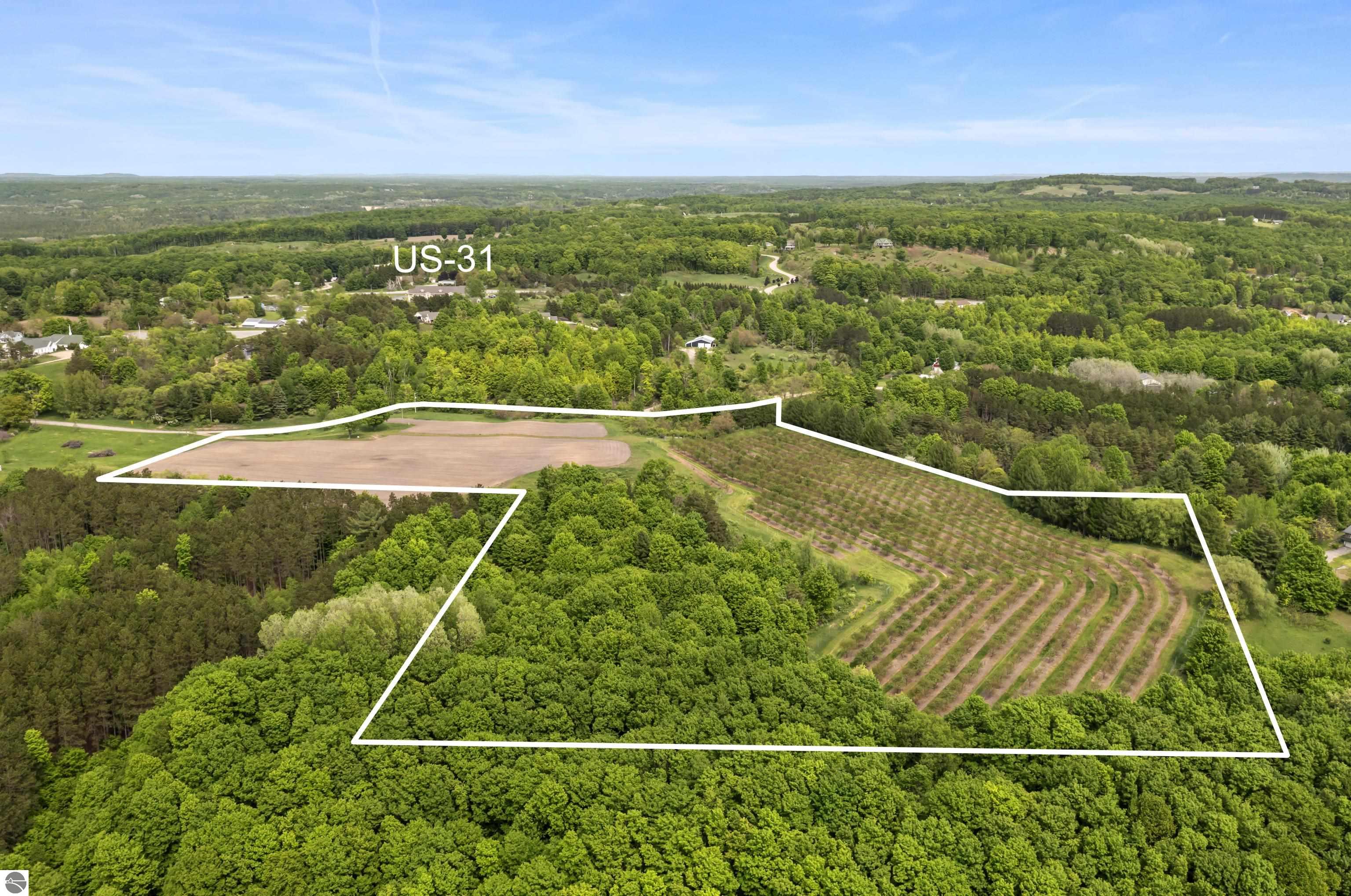 Beulah, Michigan, 49617, United States, ,Land,For Sale,1938552