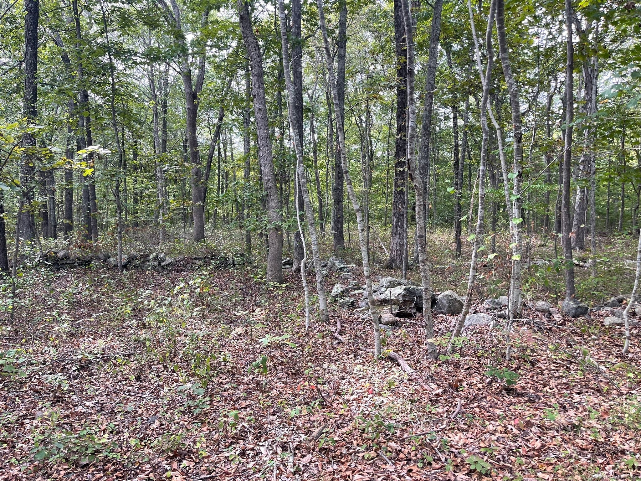 Old Lyme, Connecticut, 06371, United States, ,Land,For Sale,1979689